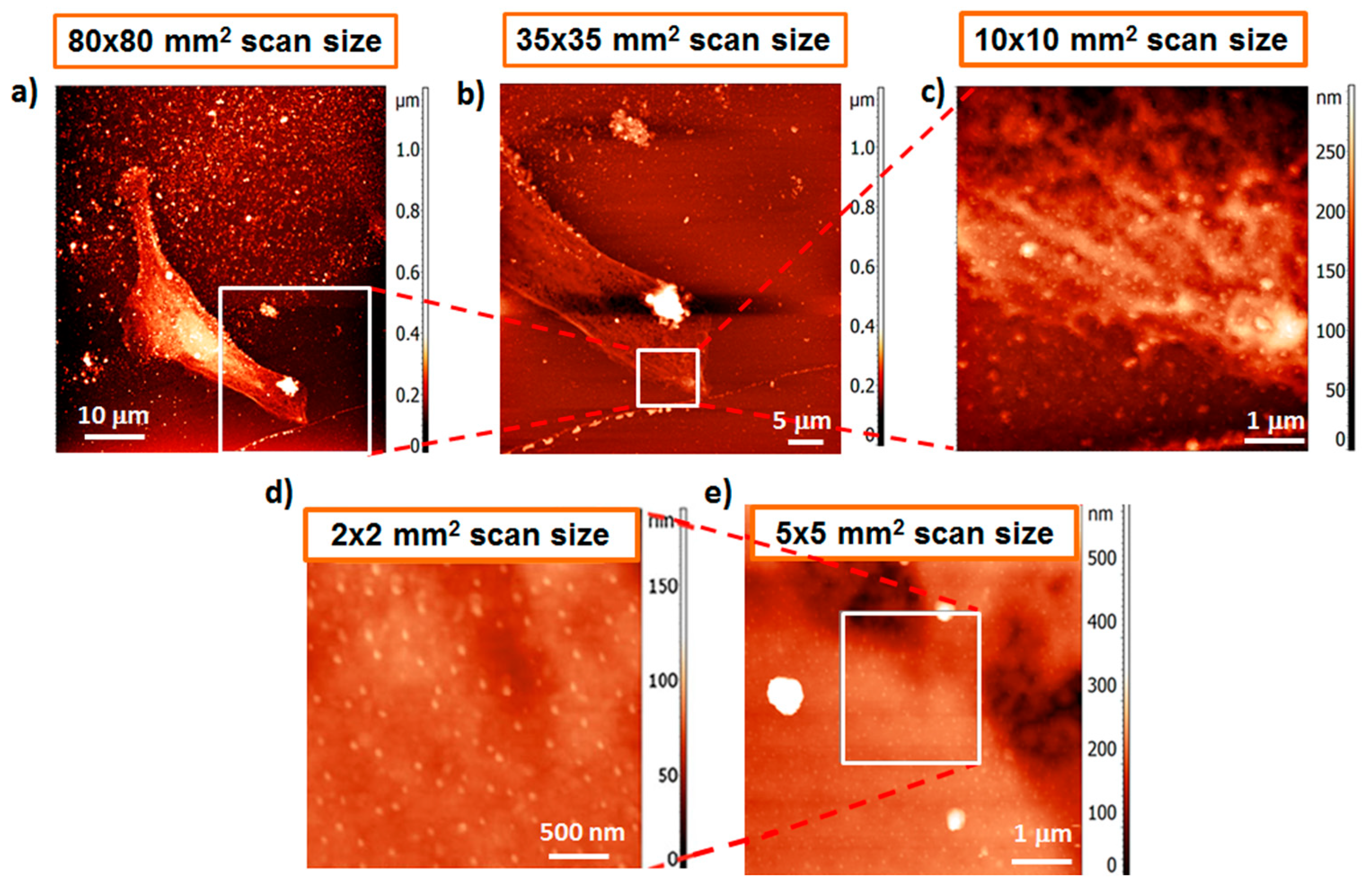 Applsci 10 08338 g024 Applsci 10 08338 g024