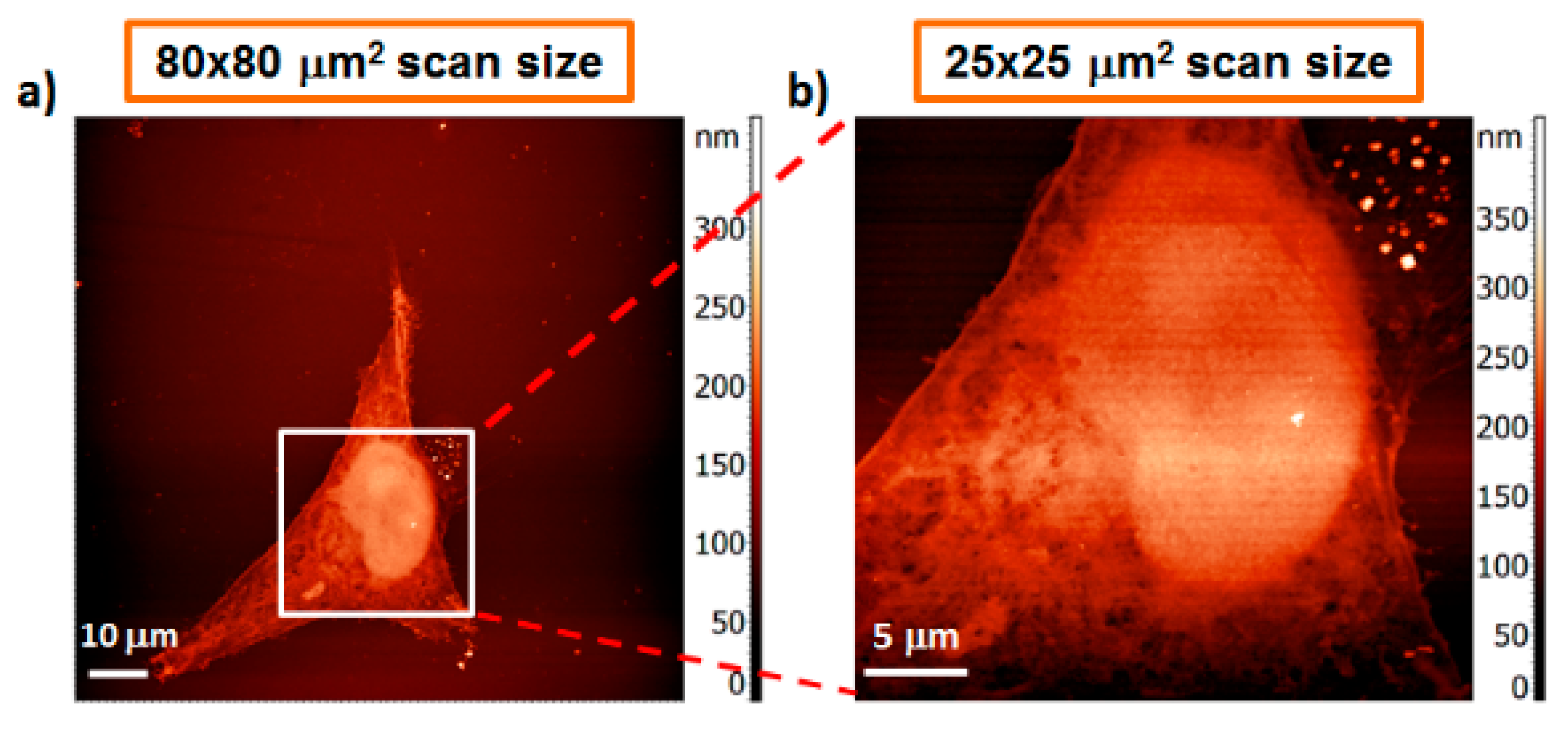 Applsci 10 08338 g025 Applsci 10 08338 g025