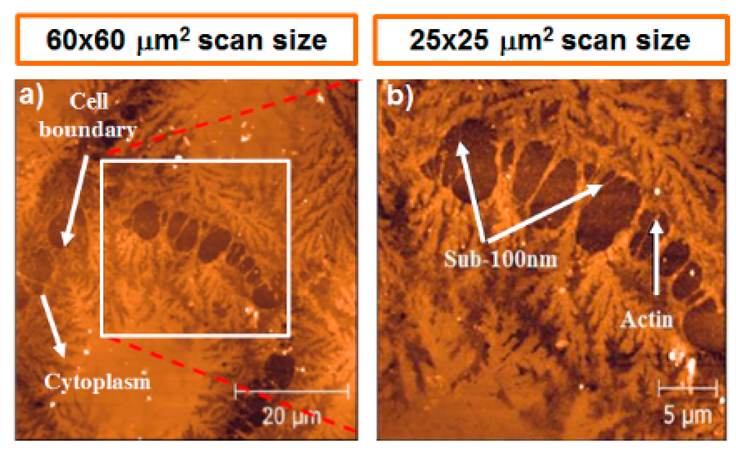 Applsci 10 08338 g026 Applsci 10 08338 g026