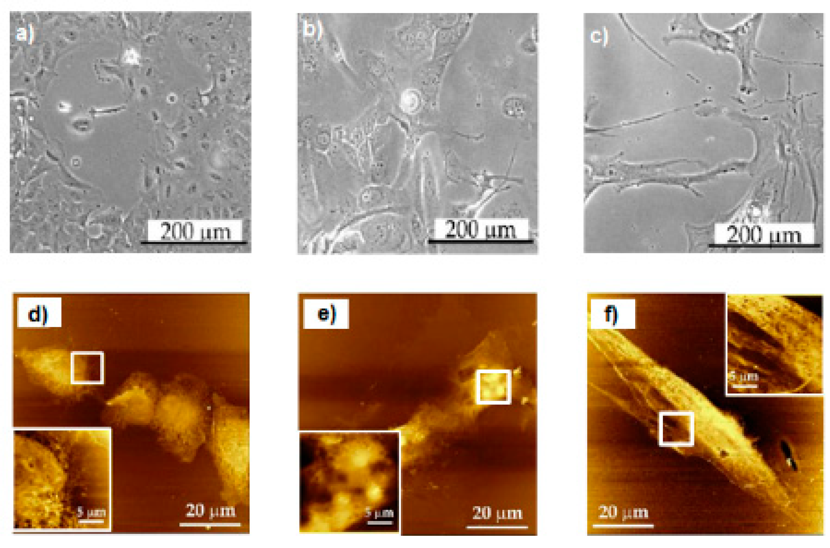 Applsci 10 08338 g027 Applsci 10 08338 g027