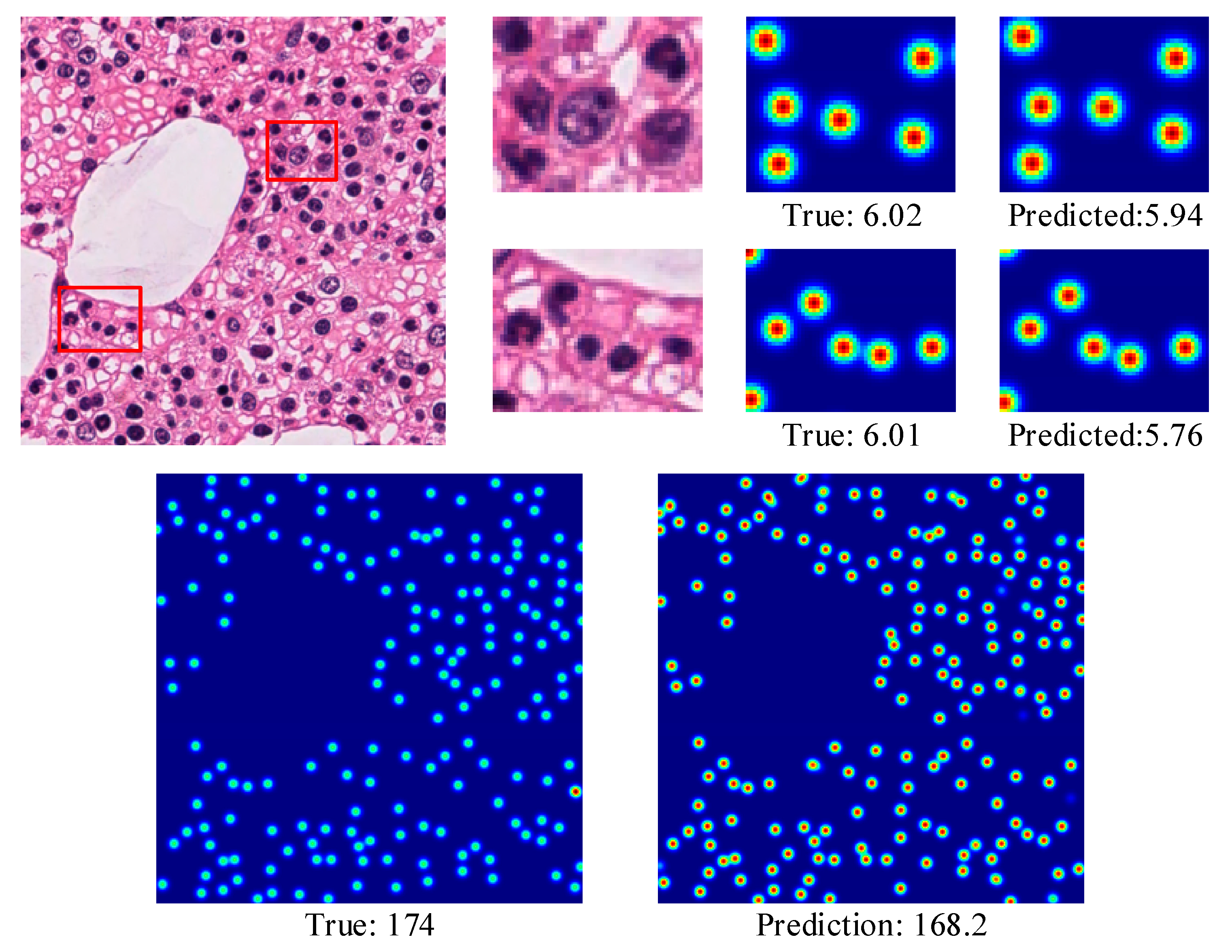 Applsci 10 08346 g012 Applsci 10 08346 g012