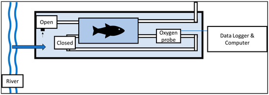 Applsci 10 08364 g0a1