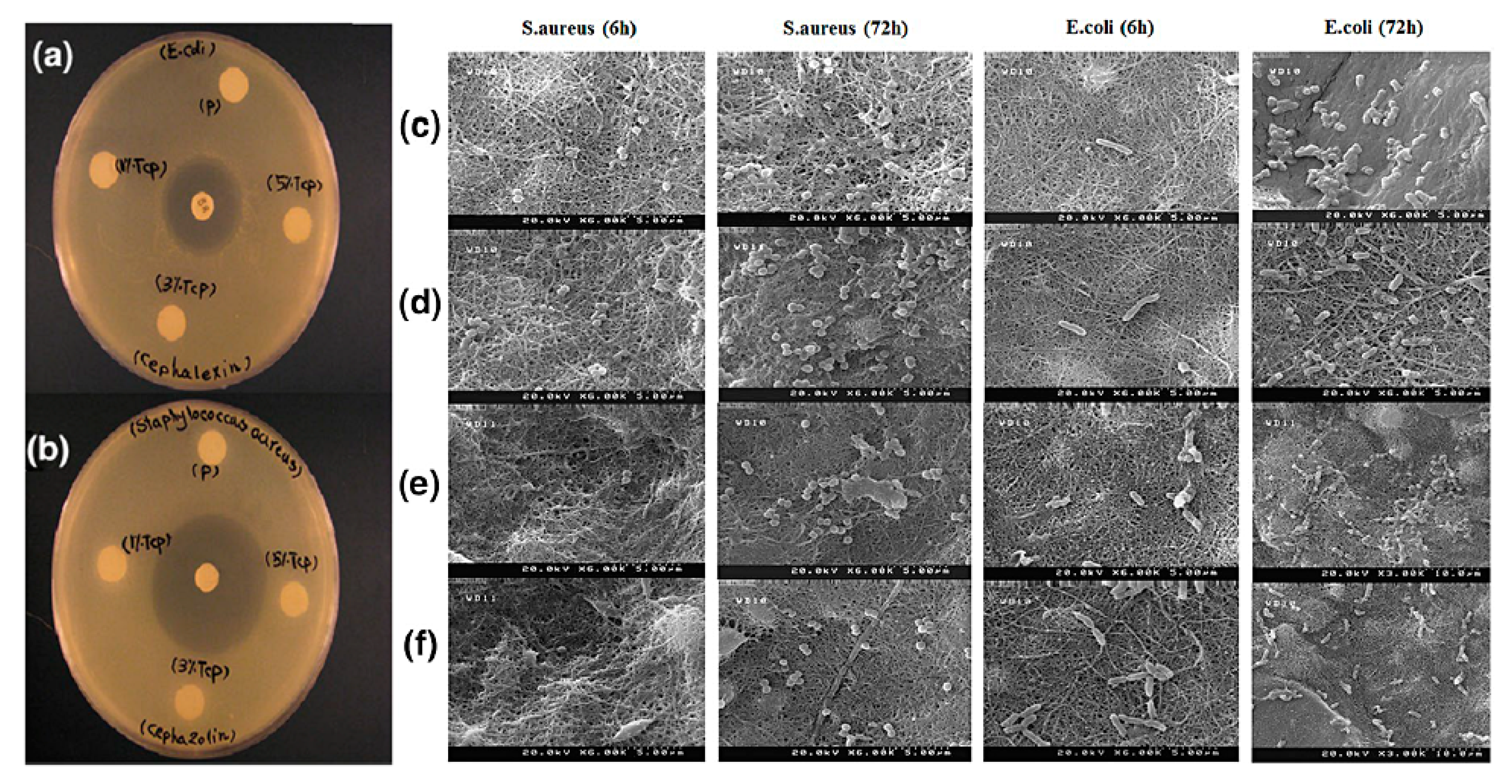 Applsci 10 08371 g002 Applsci 10 08371 g002