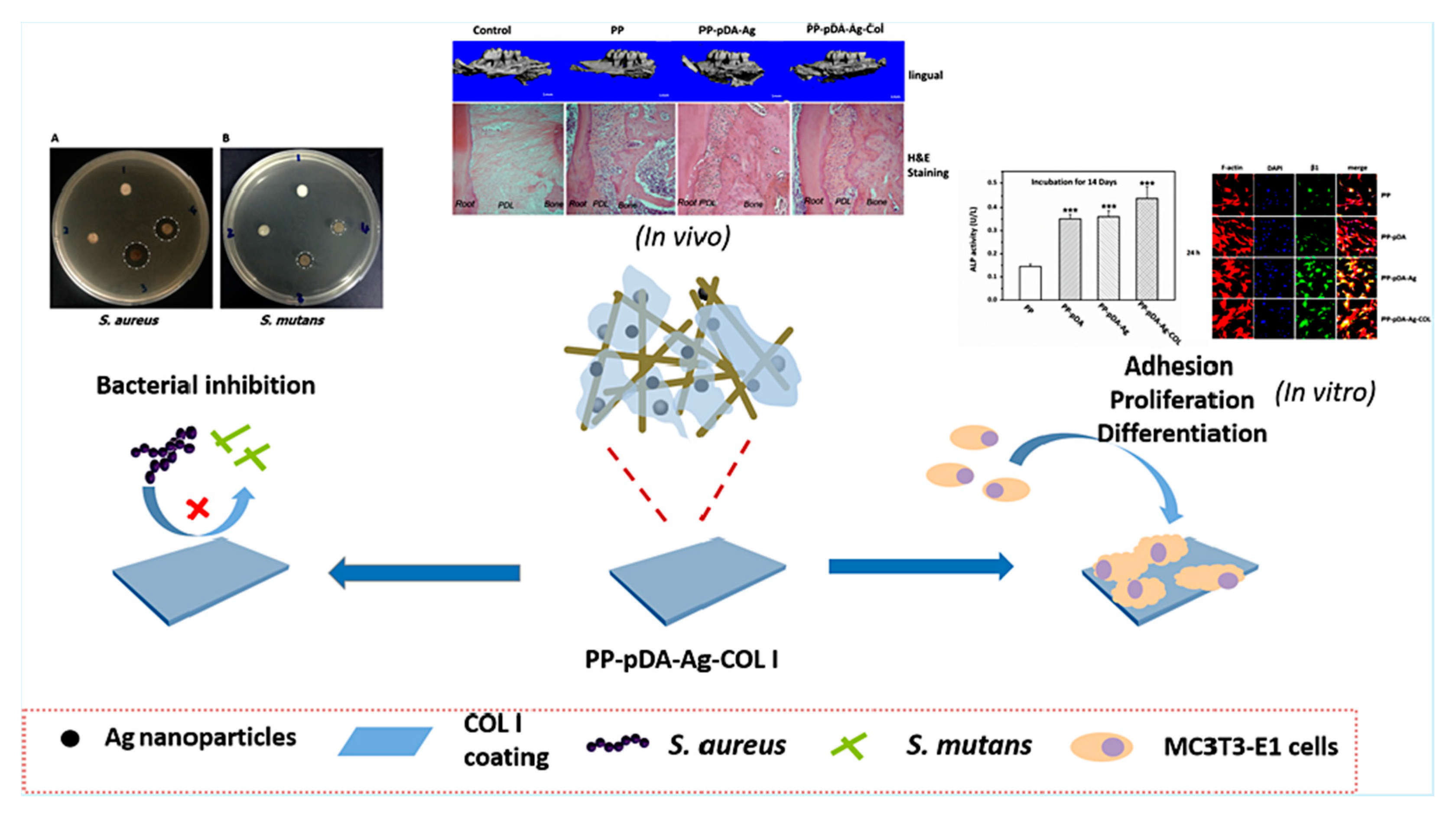 Applsci 10 08371 g003 Applsci 10 08371 g003