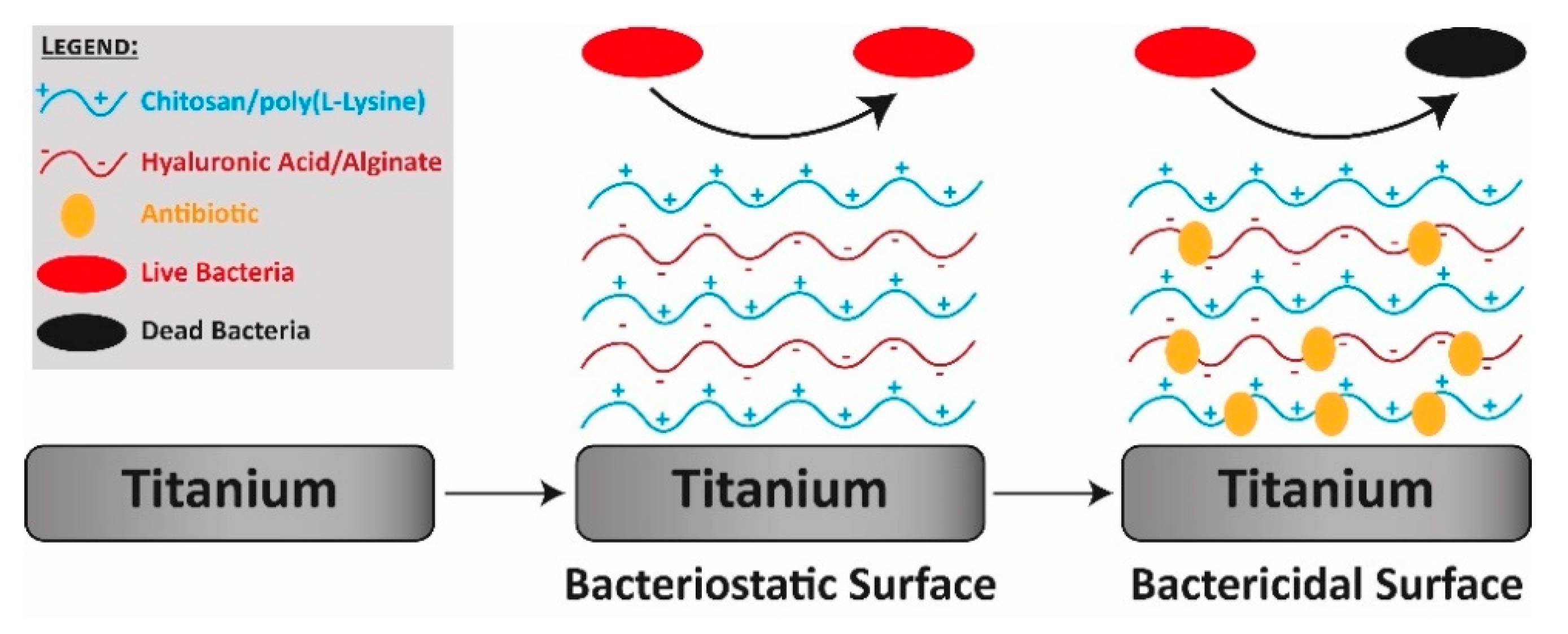 Applsci 10 08371 g004 Applsci 10 08371 g004