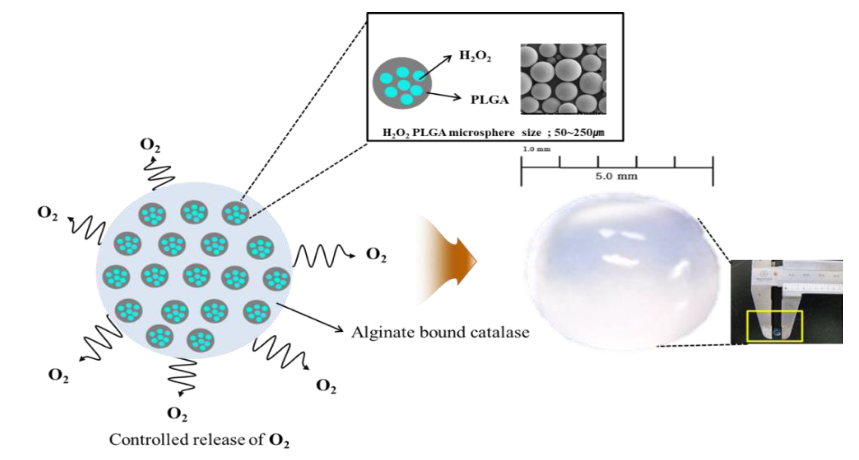 Applsci 10 08399 g001 Applsci 10 08399 g001