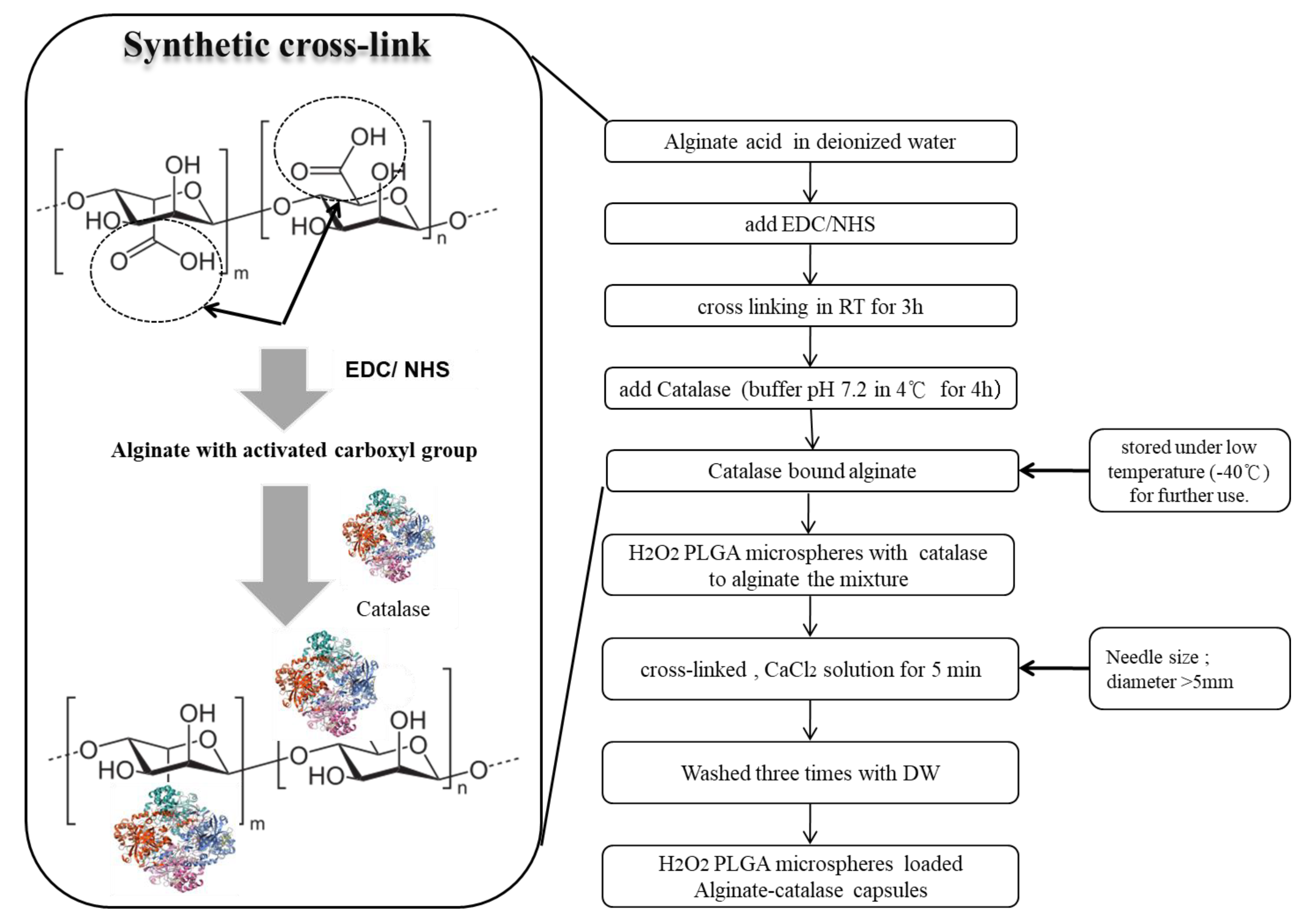 Applsci 10 08399 g002 Applsci 10 08399 g002