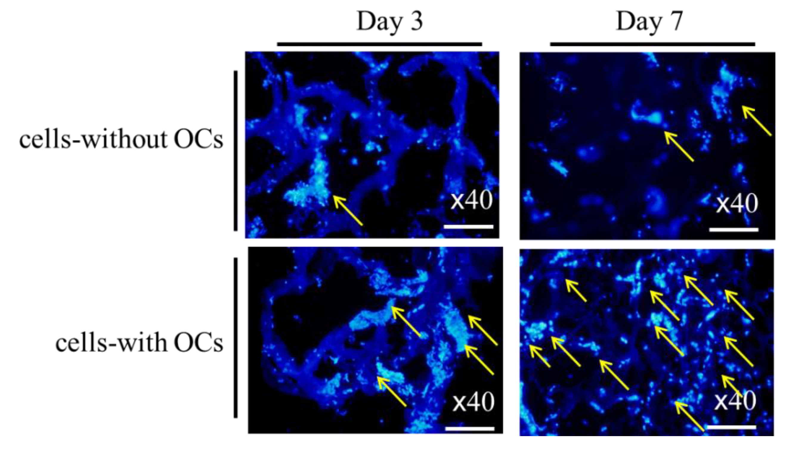 Applsci 10 08399 g006 Applsci 10 08399 g006