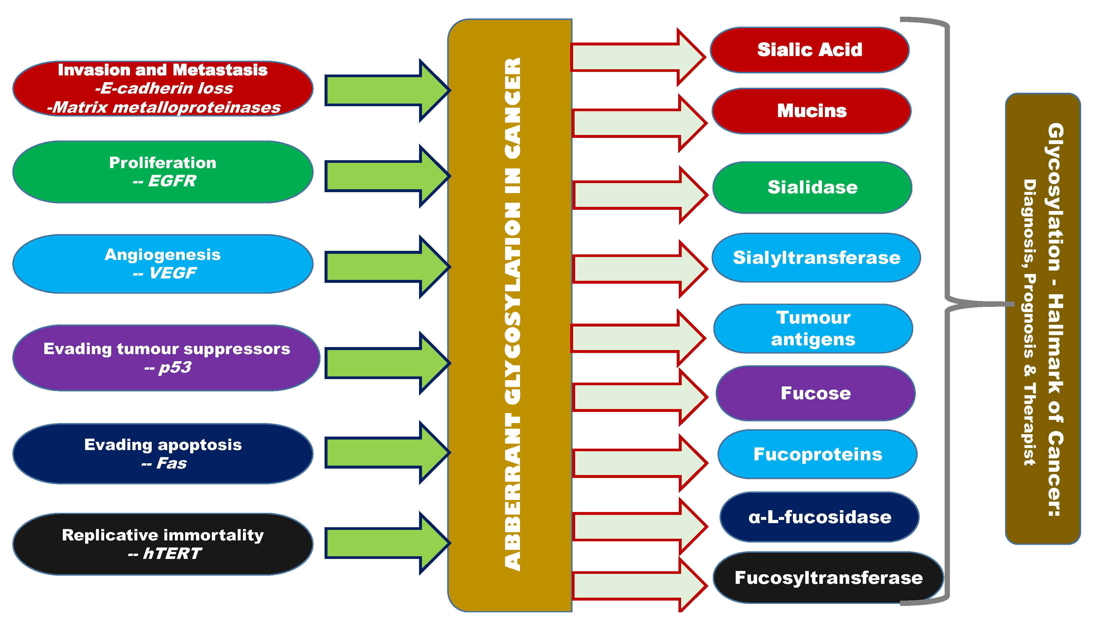 Applsci 10 08401 g002