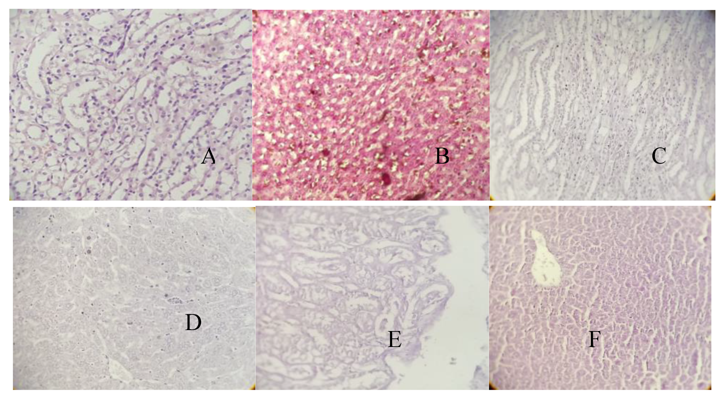 Applsci 10 08420 g008