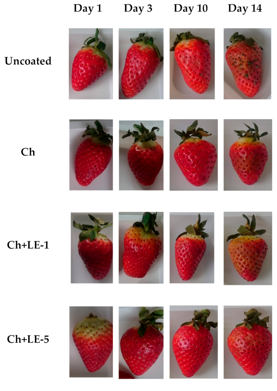 Applsci 10 08431 g005