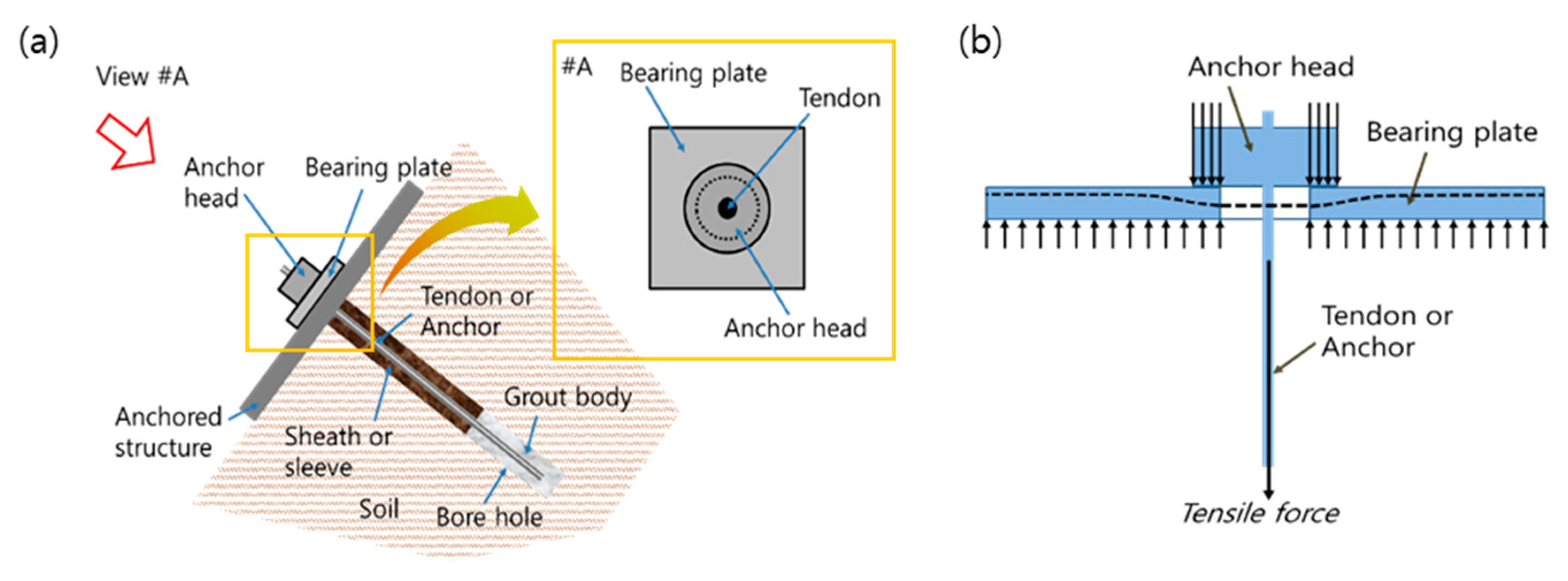 Applsci 10 08437 g001