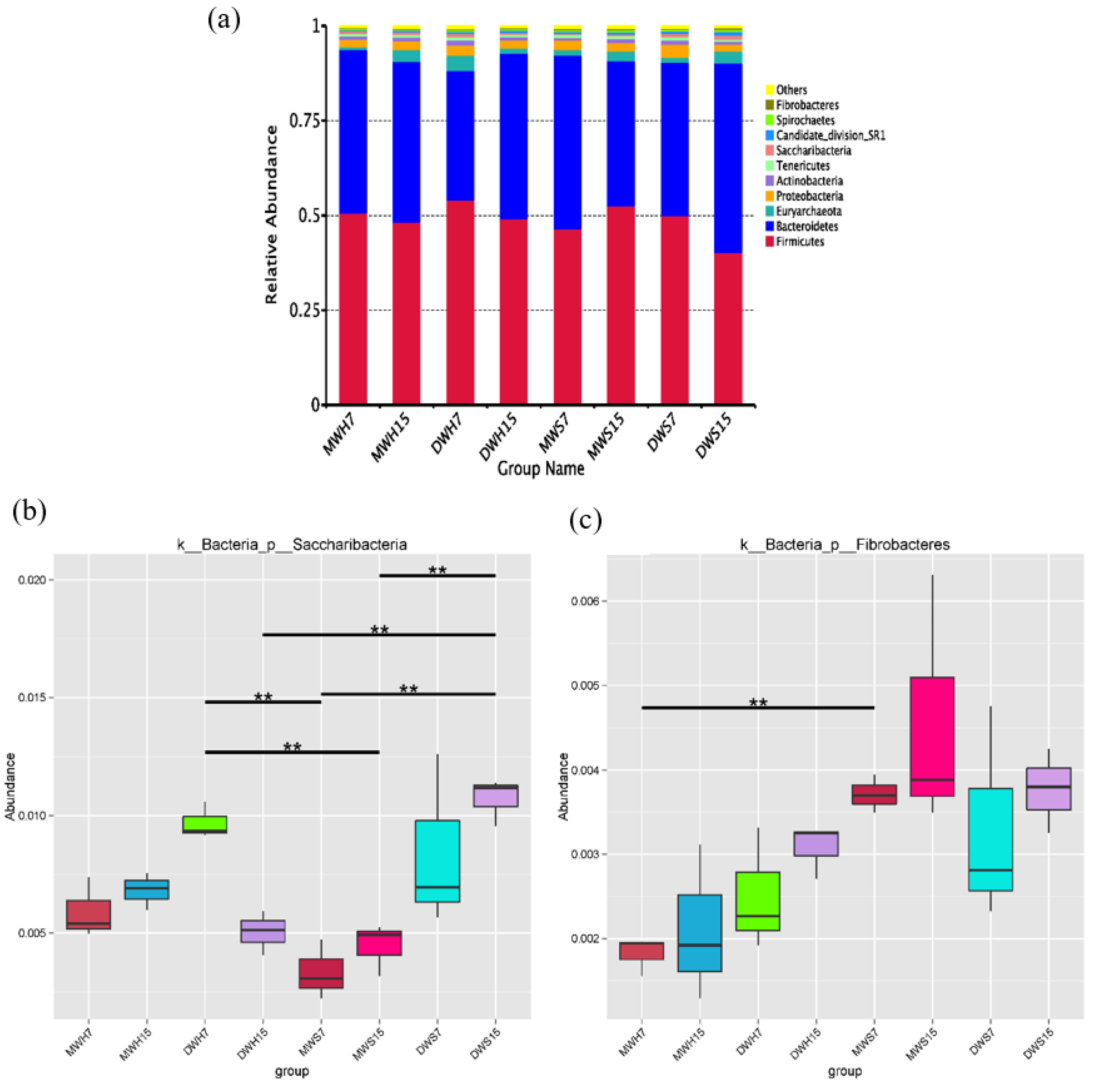 Applsci 10 08456 g003