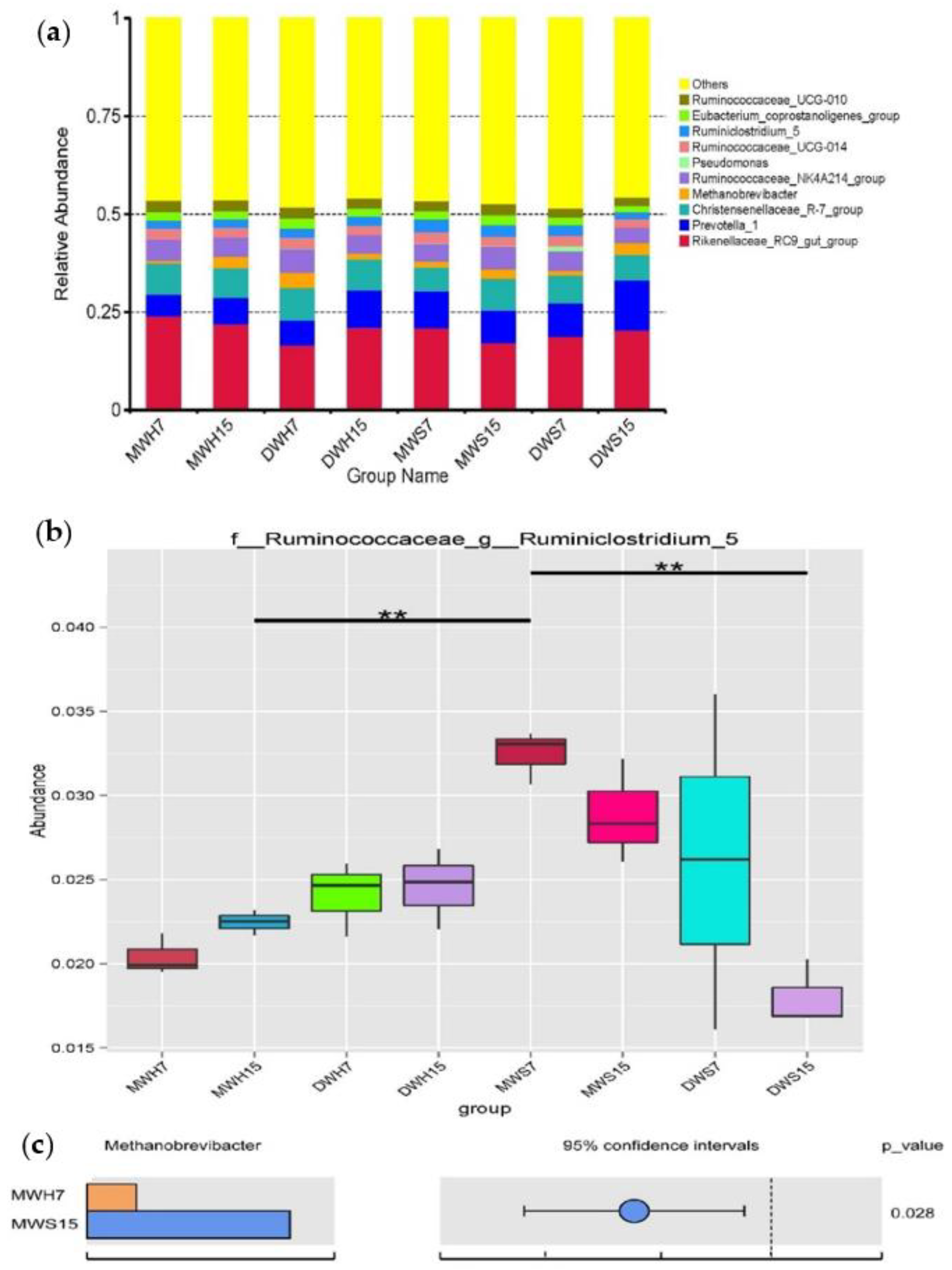 Applsci 10 08456 g004