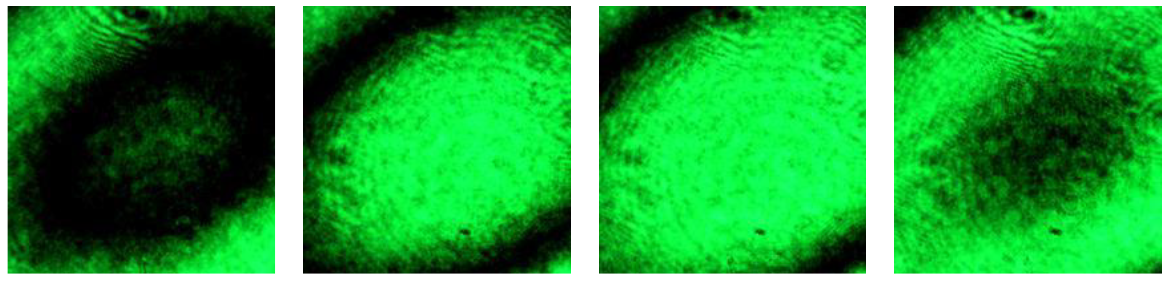 Applsci 10 08460 g009