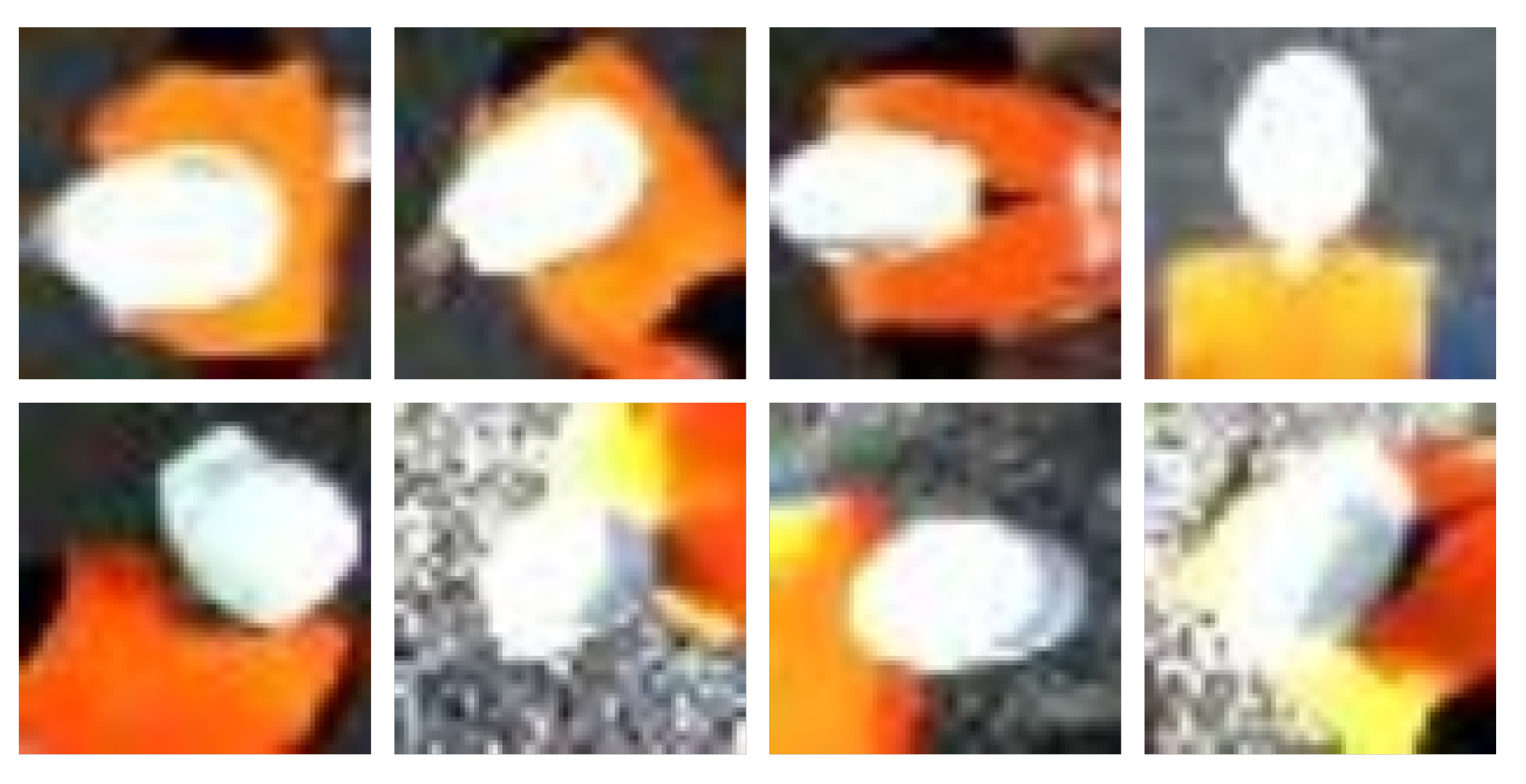 Applsci 10 08466 g002