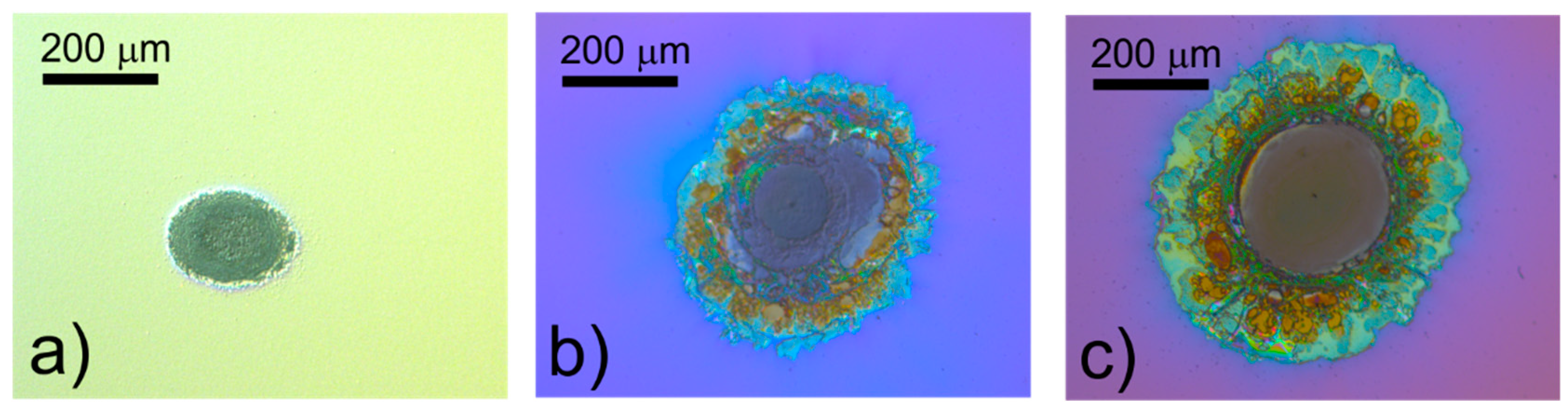 Applsci 10 08496 g007