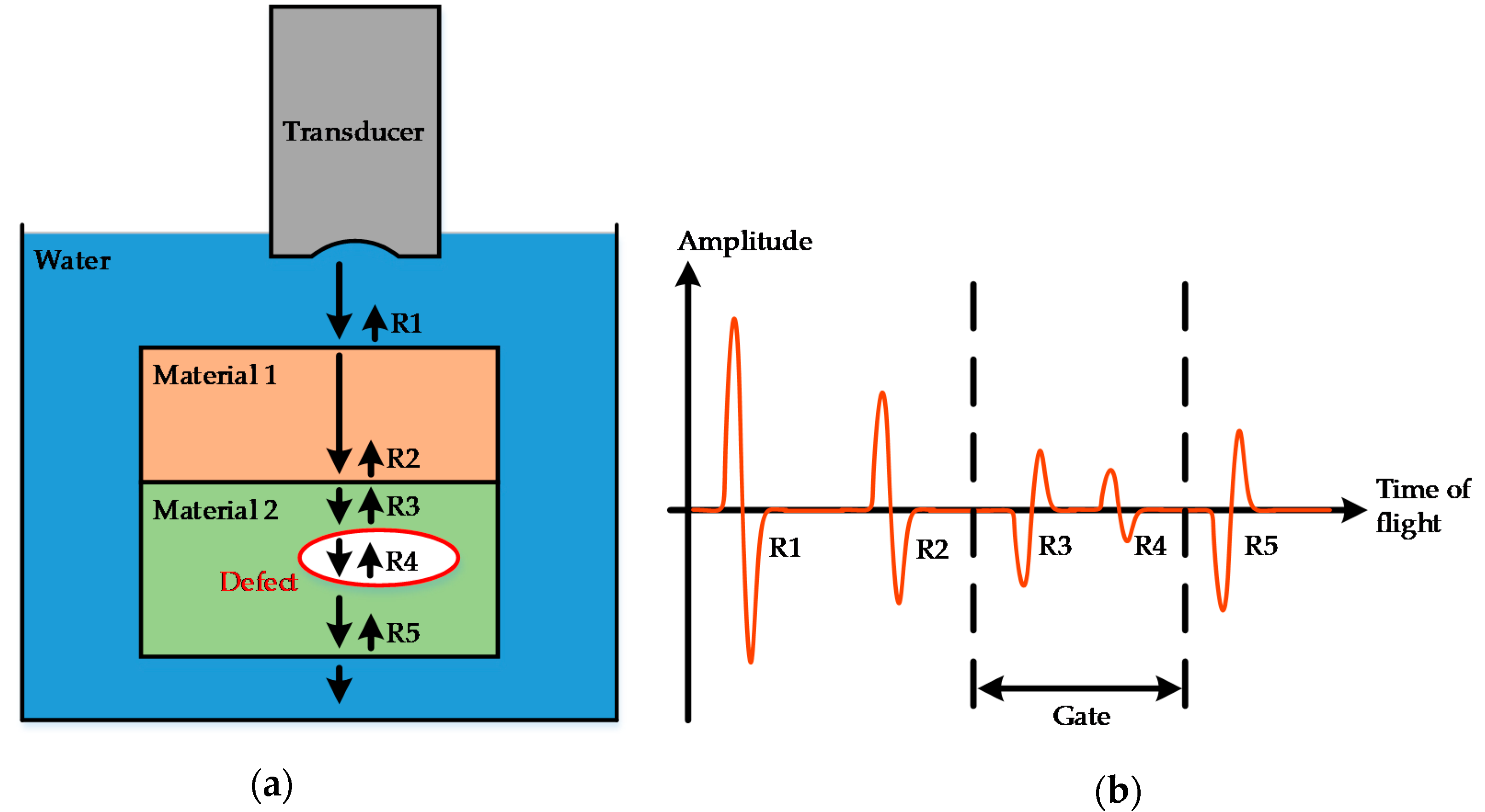 Applsci 10 08516 g002