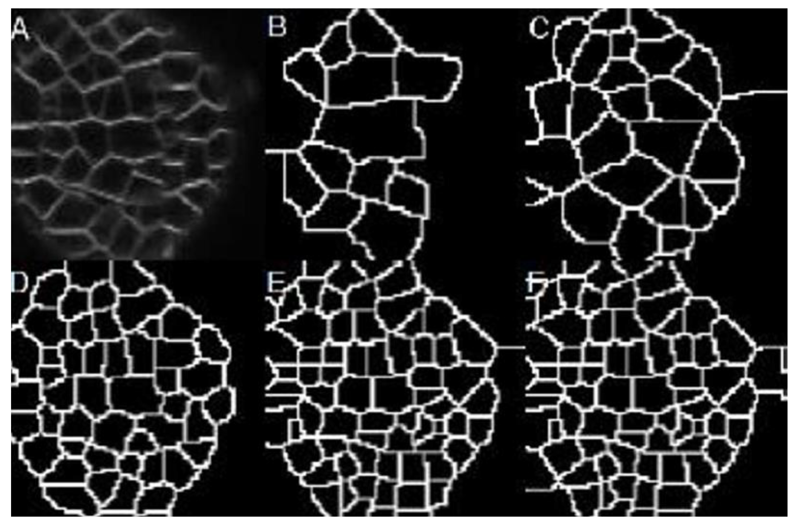 Applsci 10 08523 g004
