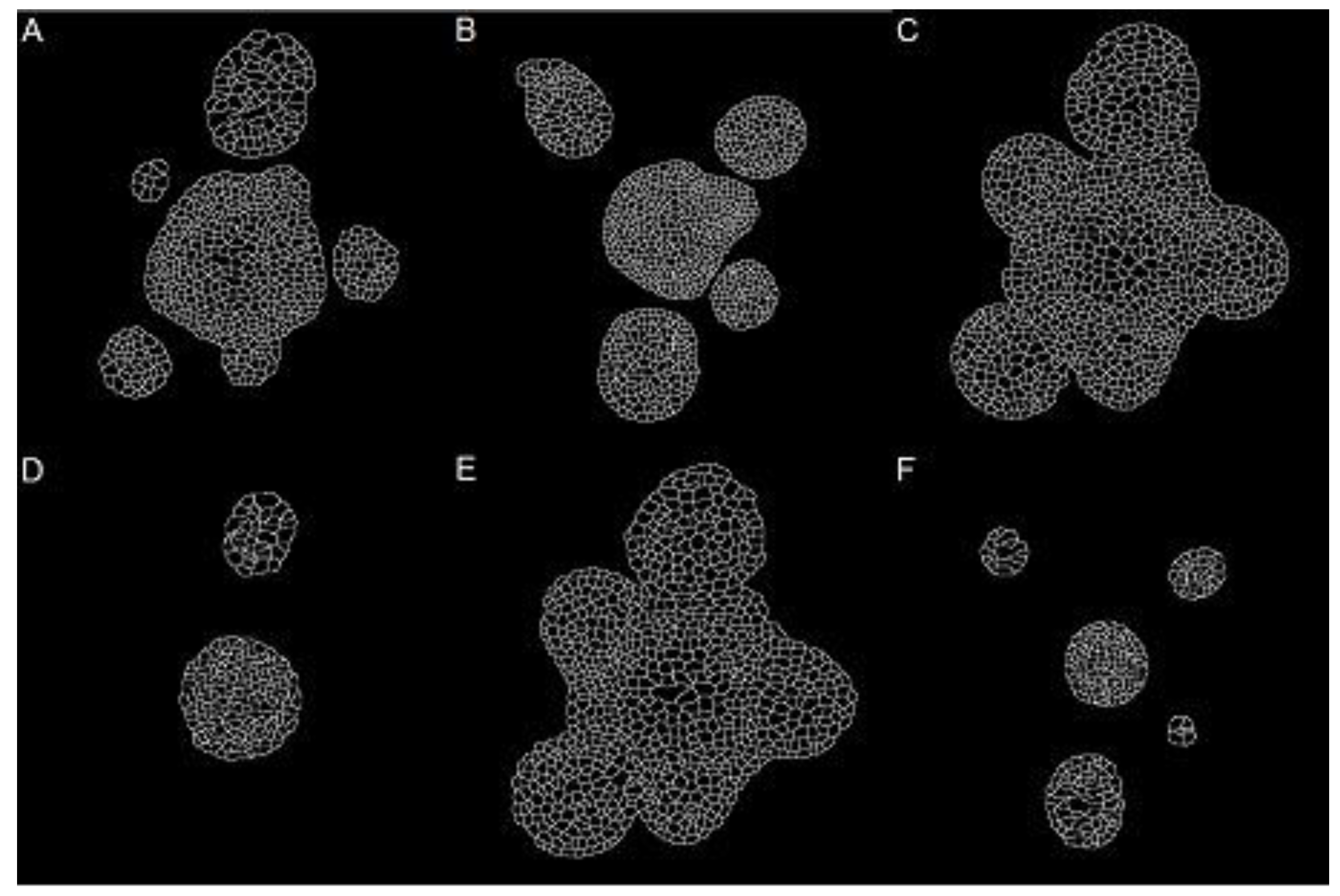 Applsci 10 08523 g007