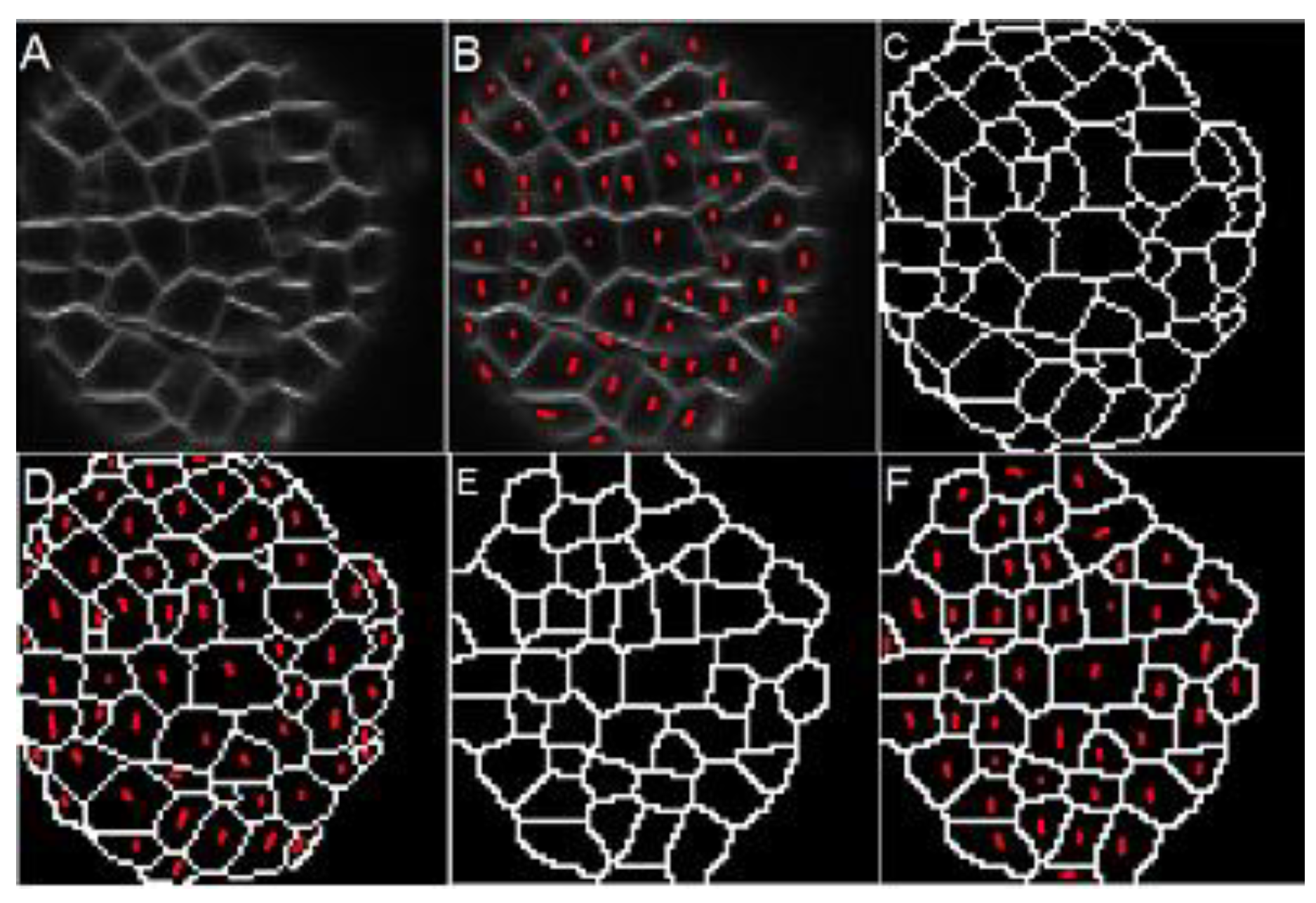 Applsci 10 08523 g010