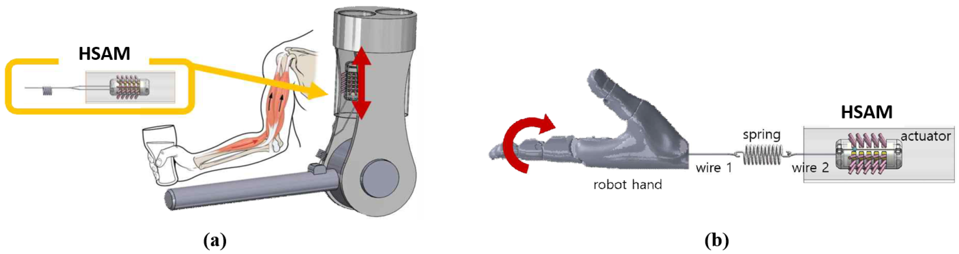 Applsci 10 08525 g005