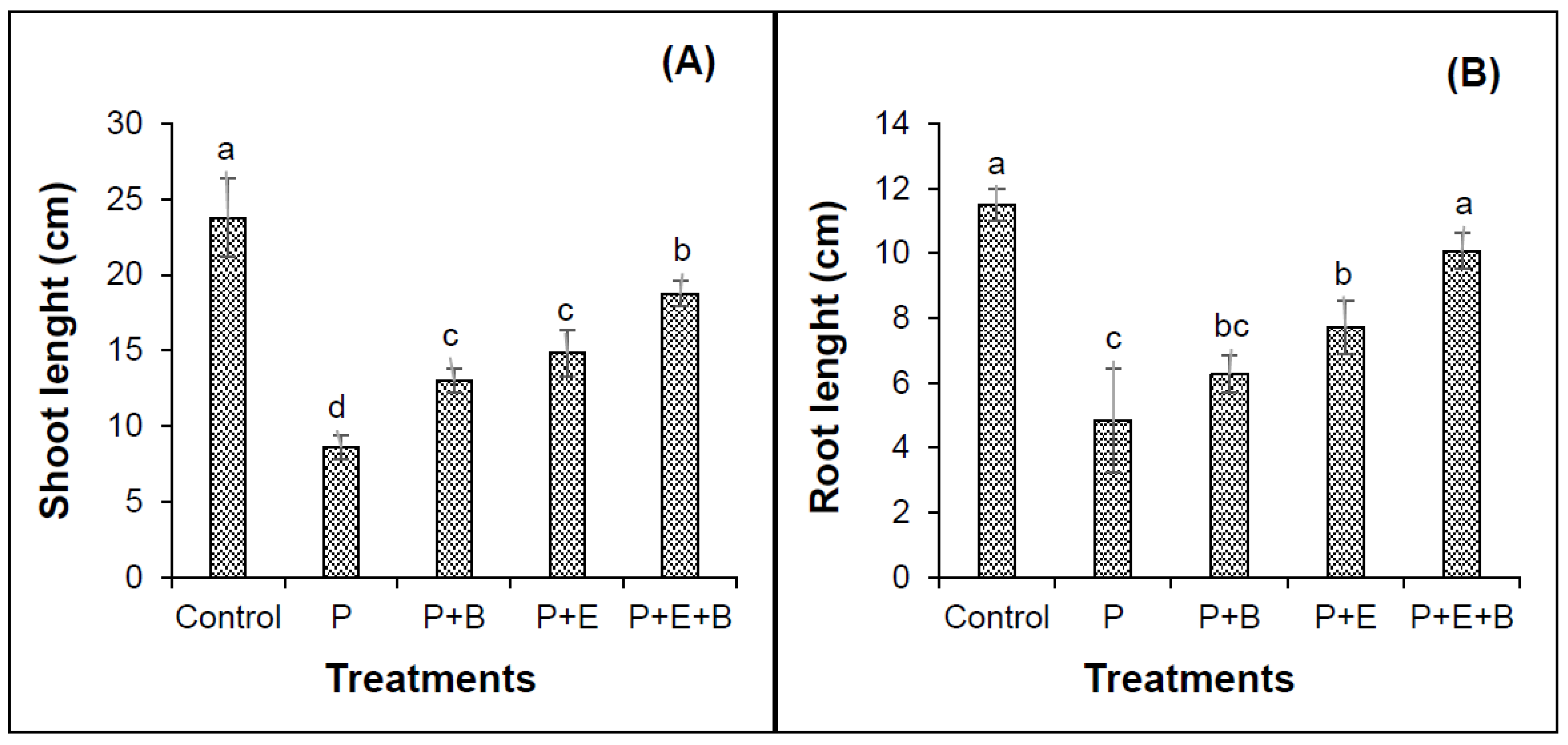 Applsci 10 08548 g002