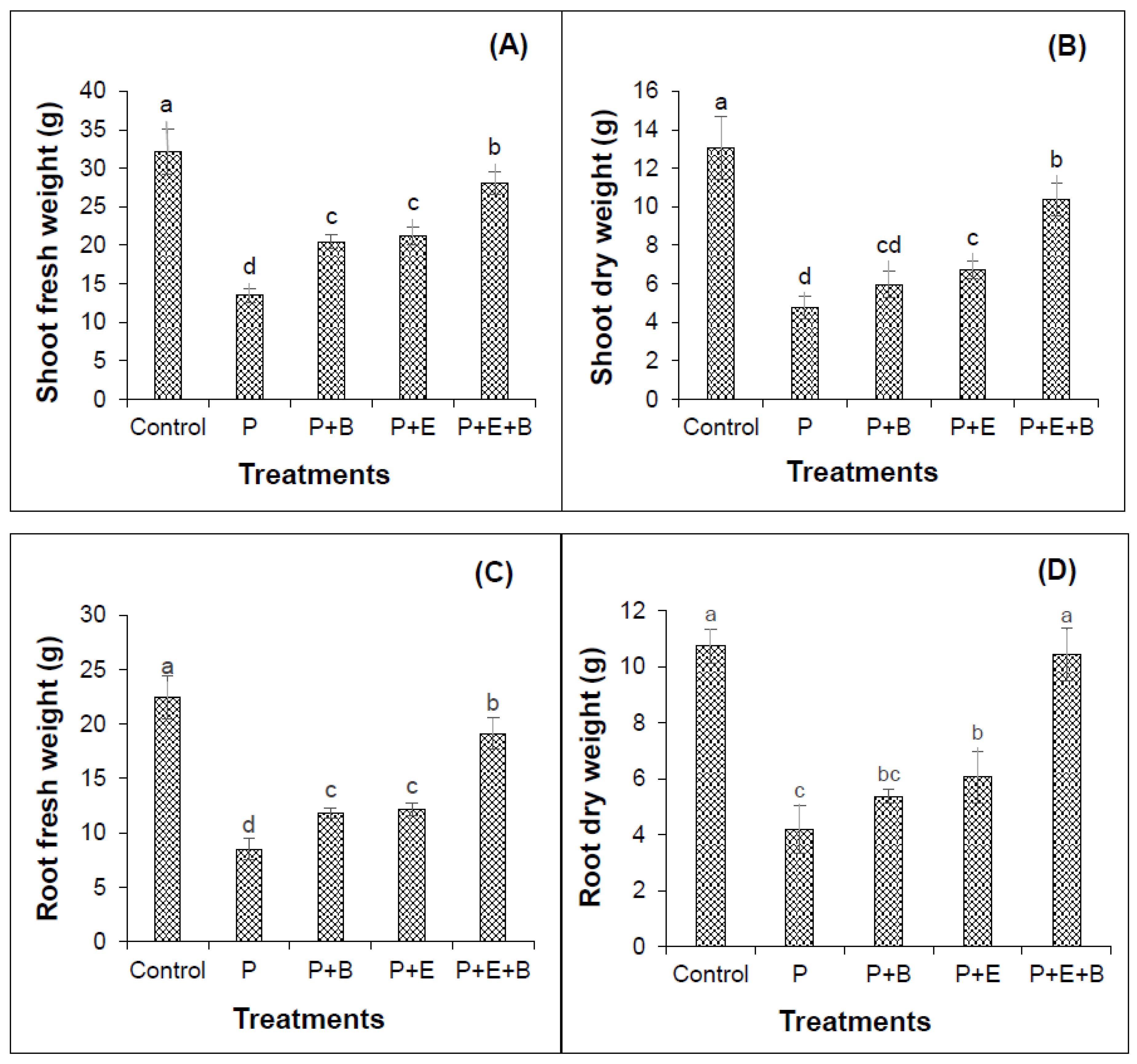 Applsci 10 08548 g003