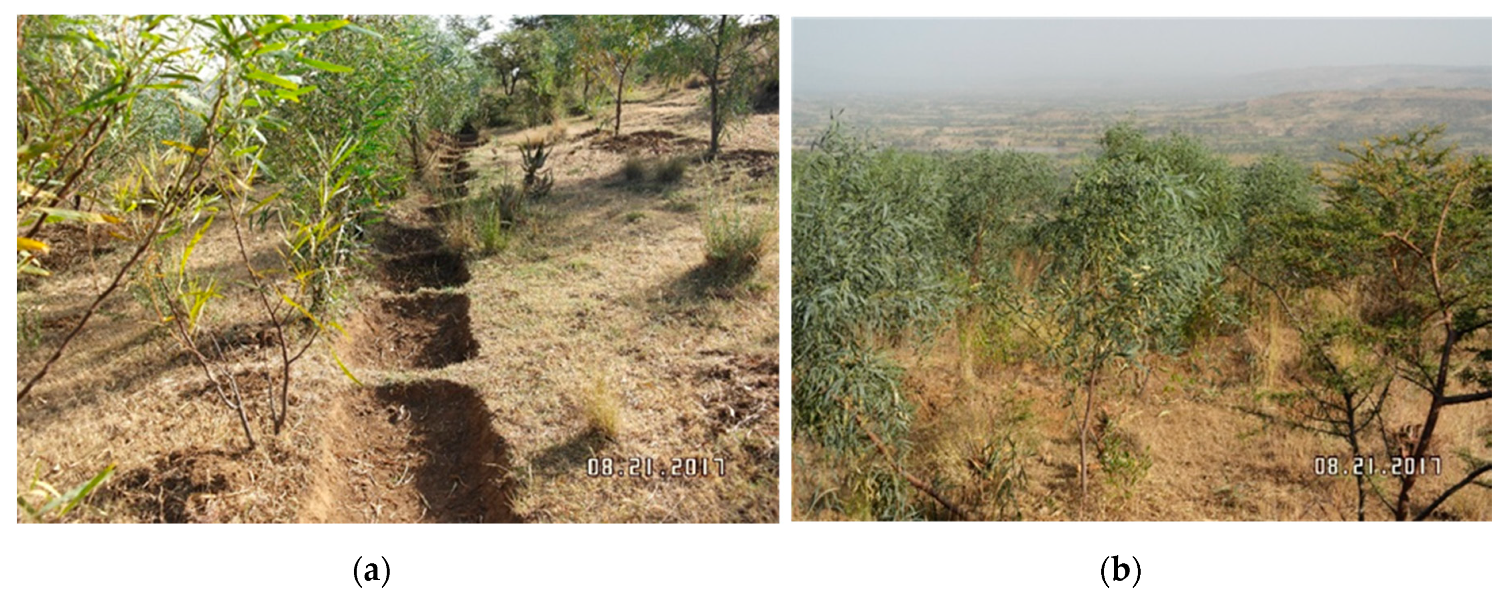 Applsci 10 08560 g001 Applsci 10 08560 g001