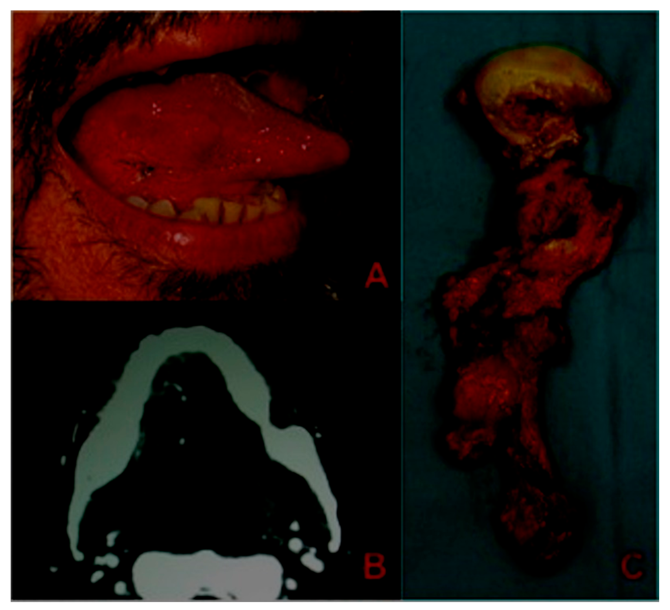 Applsci 10 08580 g001