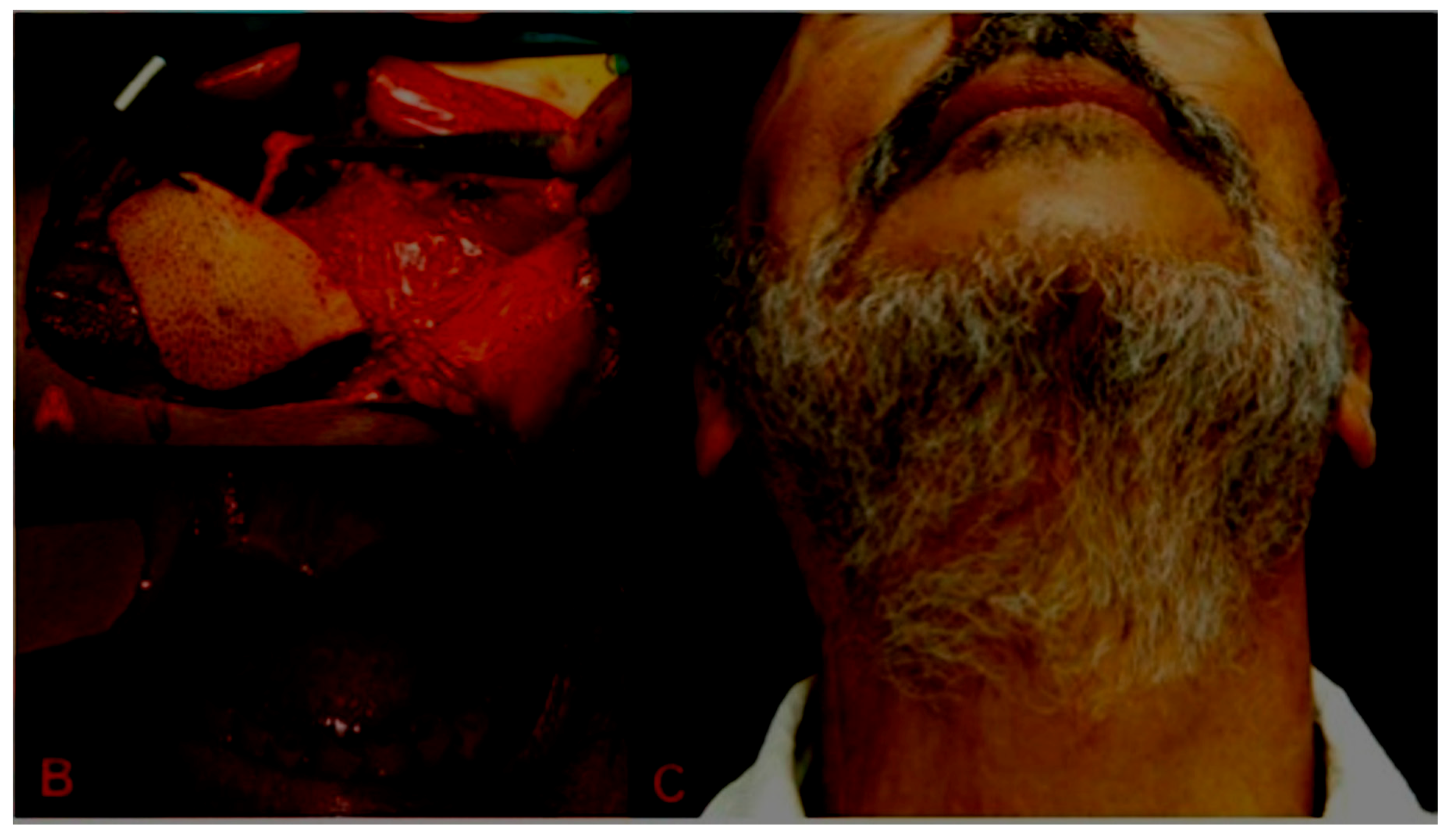 Applsci 10 08580 g002