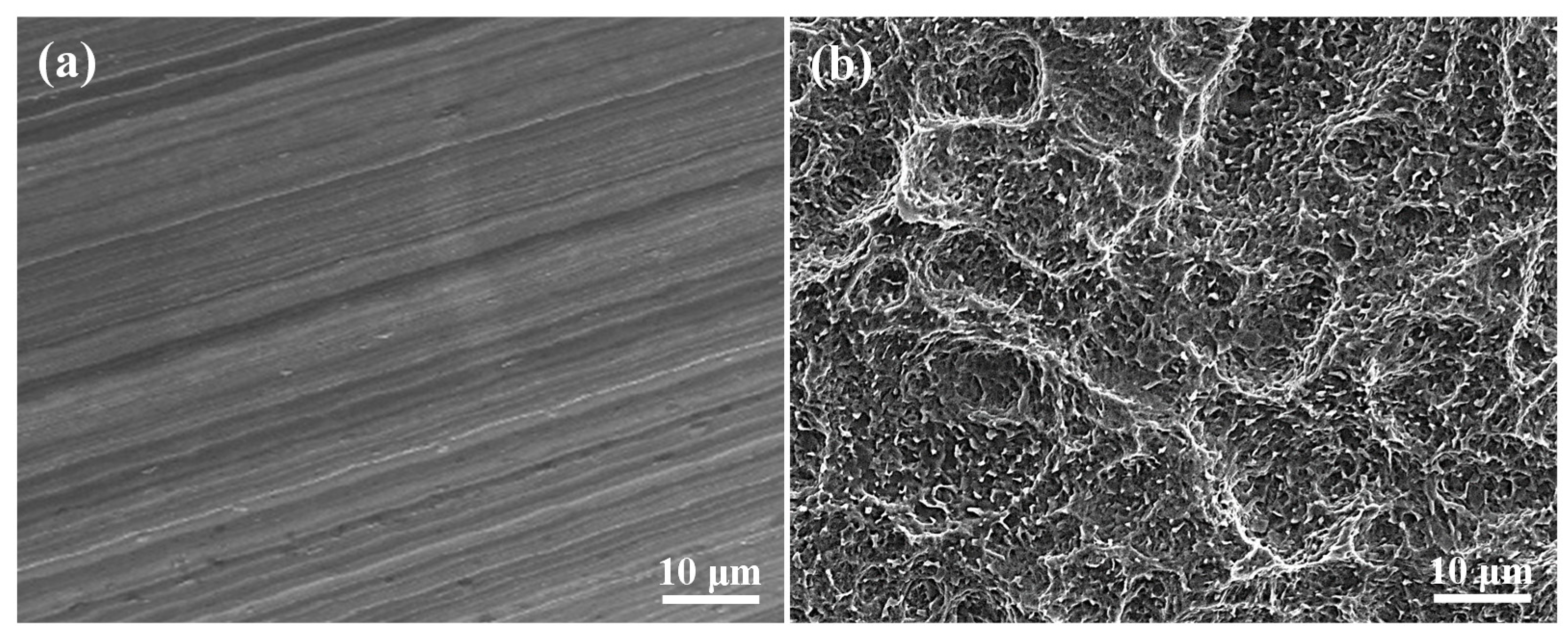 Applsci 10 08582 g003