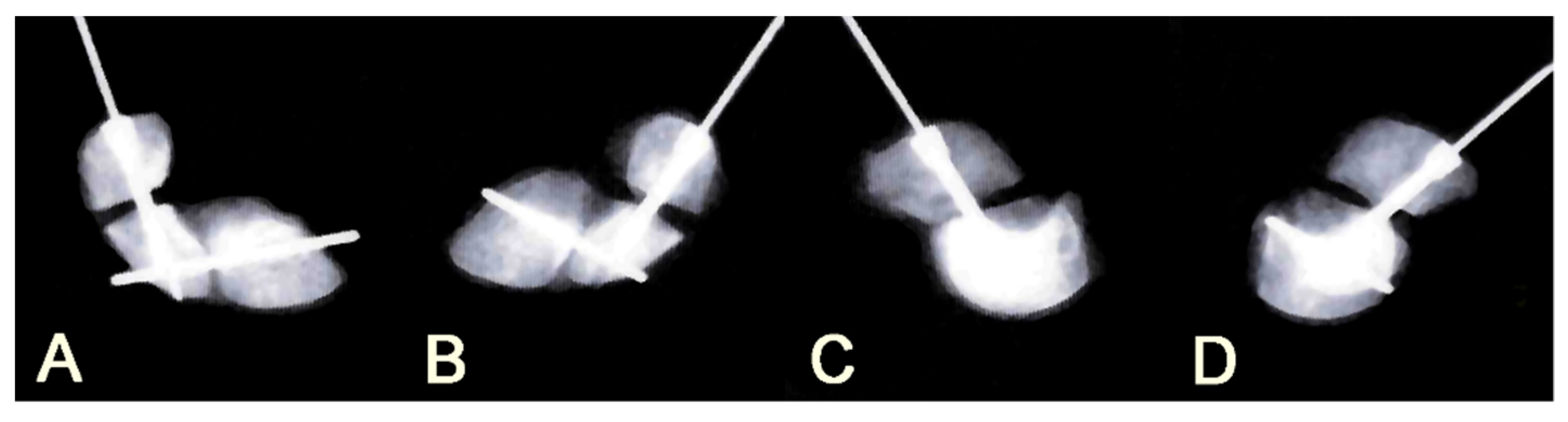 Applsci 10 08592 g002 Applsci 10 08592 g002