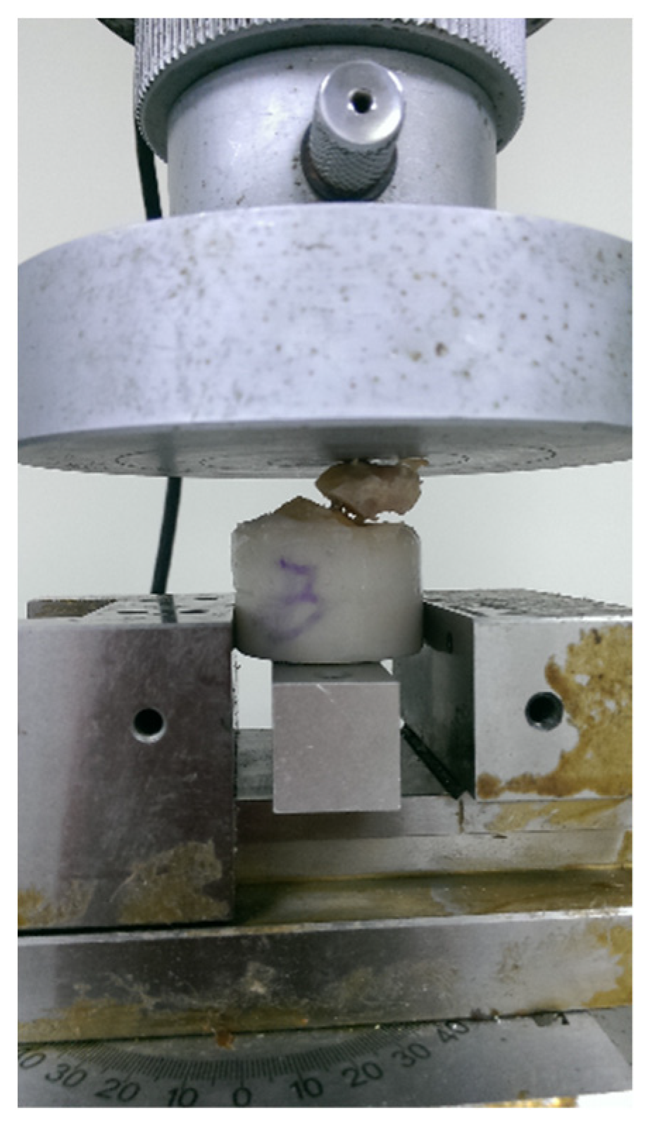 Applsci 10 08592 g003 Applsci 10 08592 g003