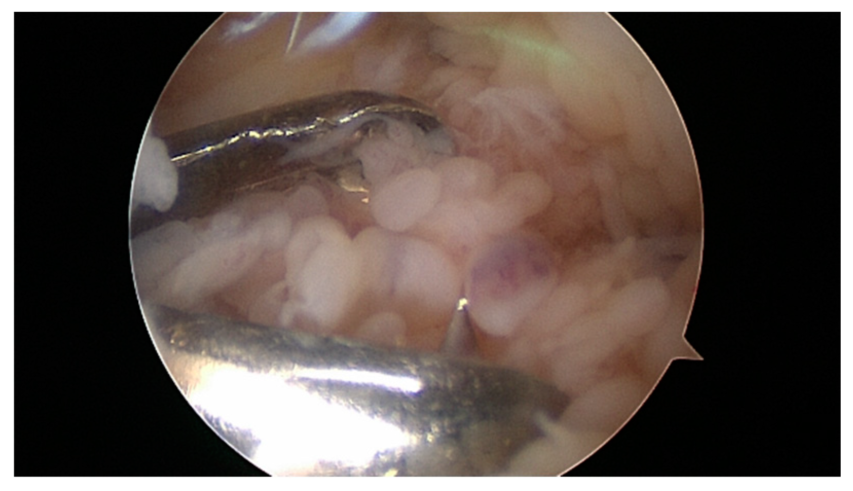 Applsci 10 08600 g001