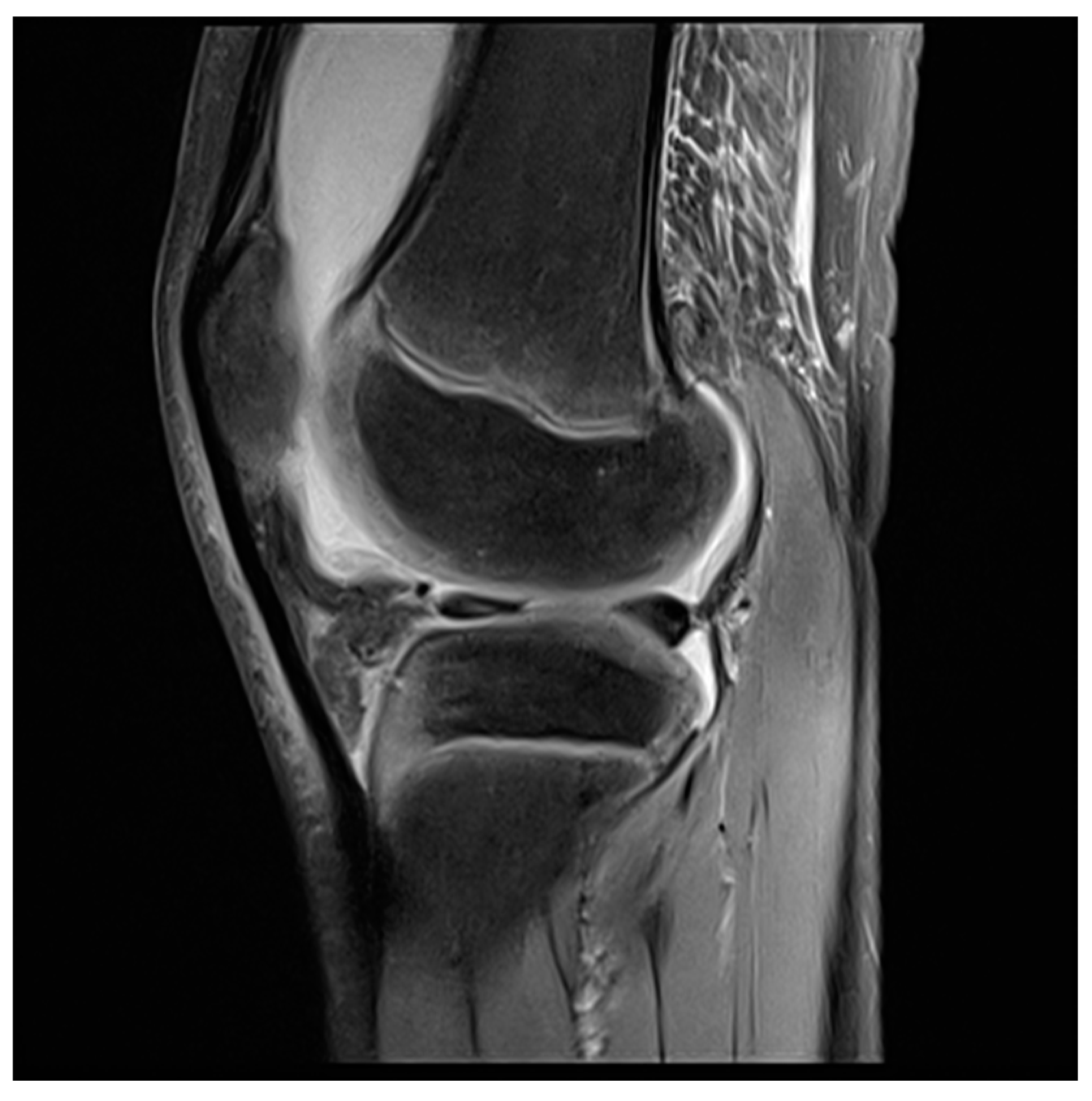 Applsci 10 08600 g002