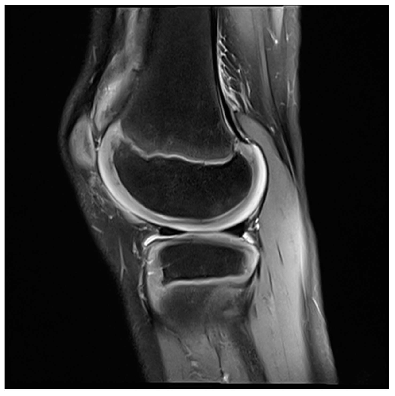 Applsci 10 08600 g003