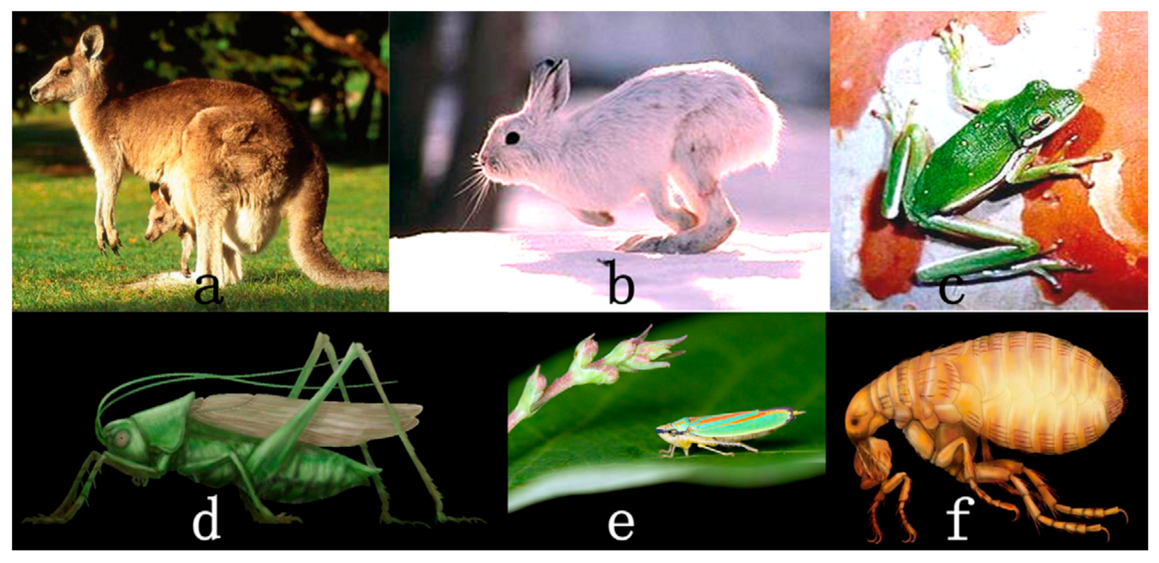 Applsci 10 08607 g003 Applsci 10 08607 g003