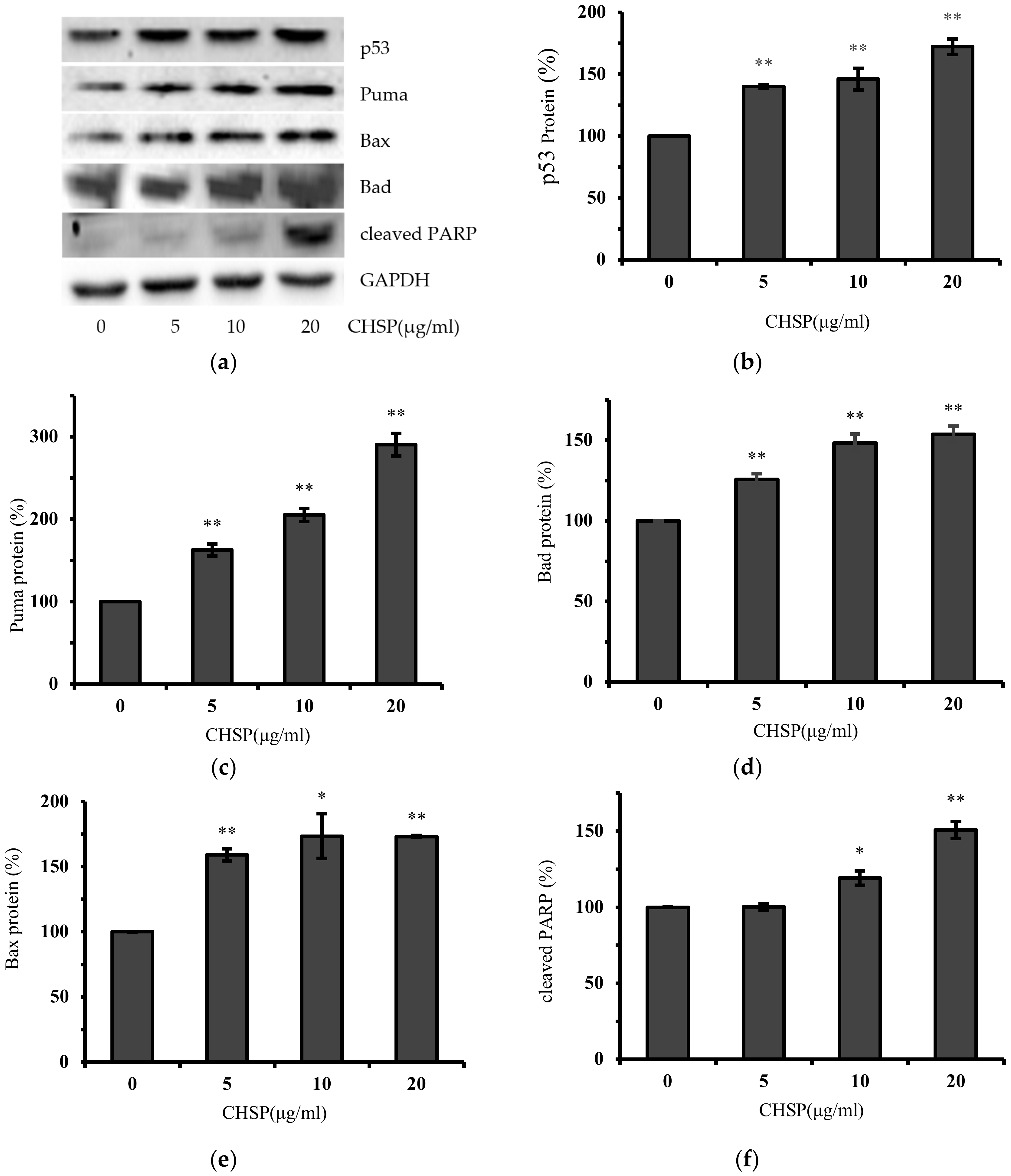 Applsci 10 08615 g003