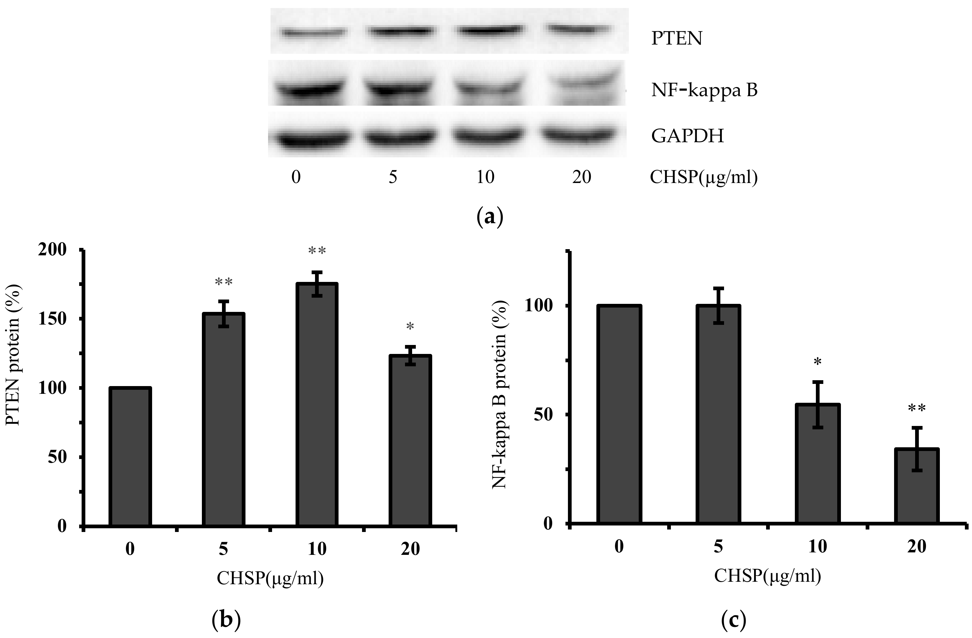 Applsci 10 08615 g005