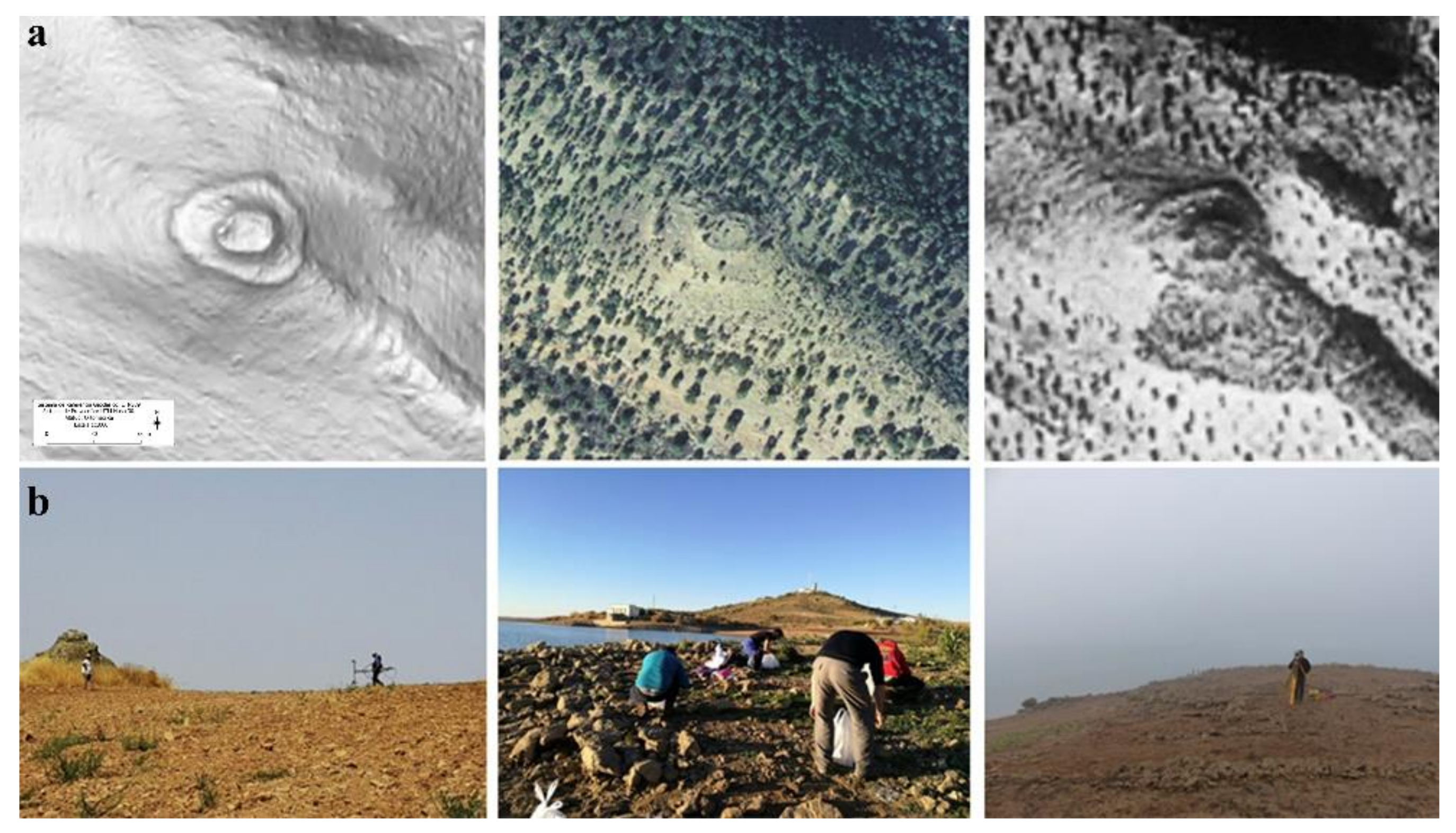 Applsci 10 08659 g004