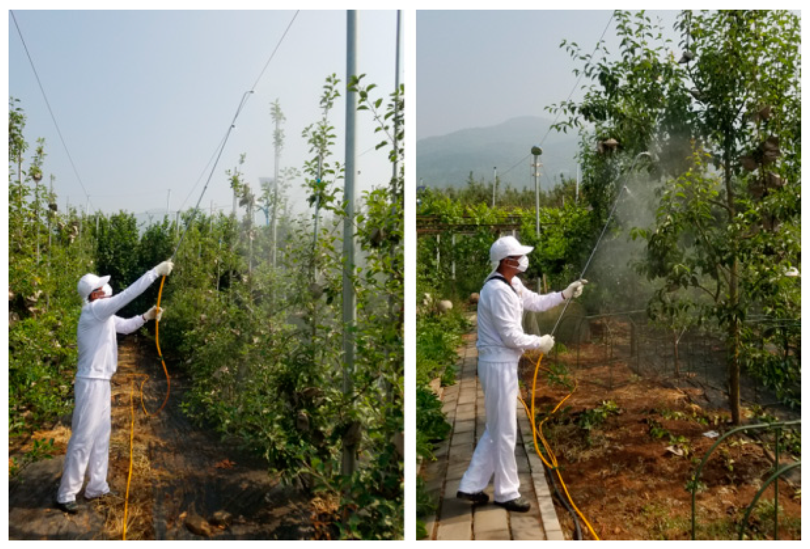 Applsci 10 08684 g001