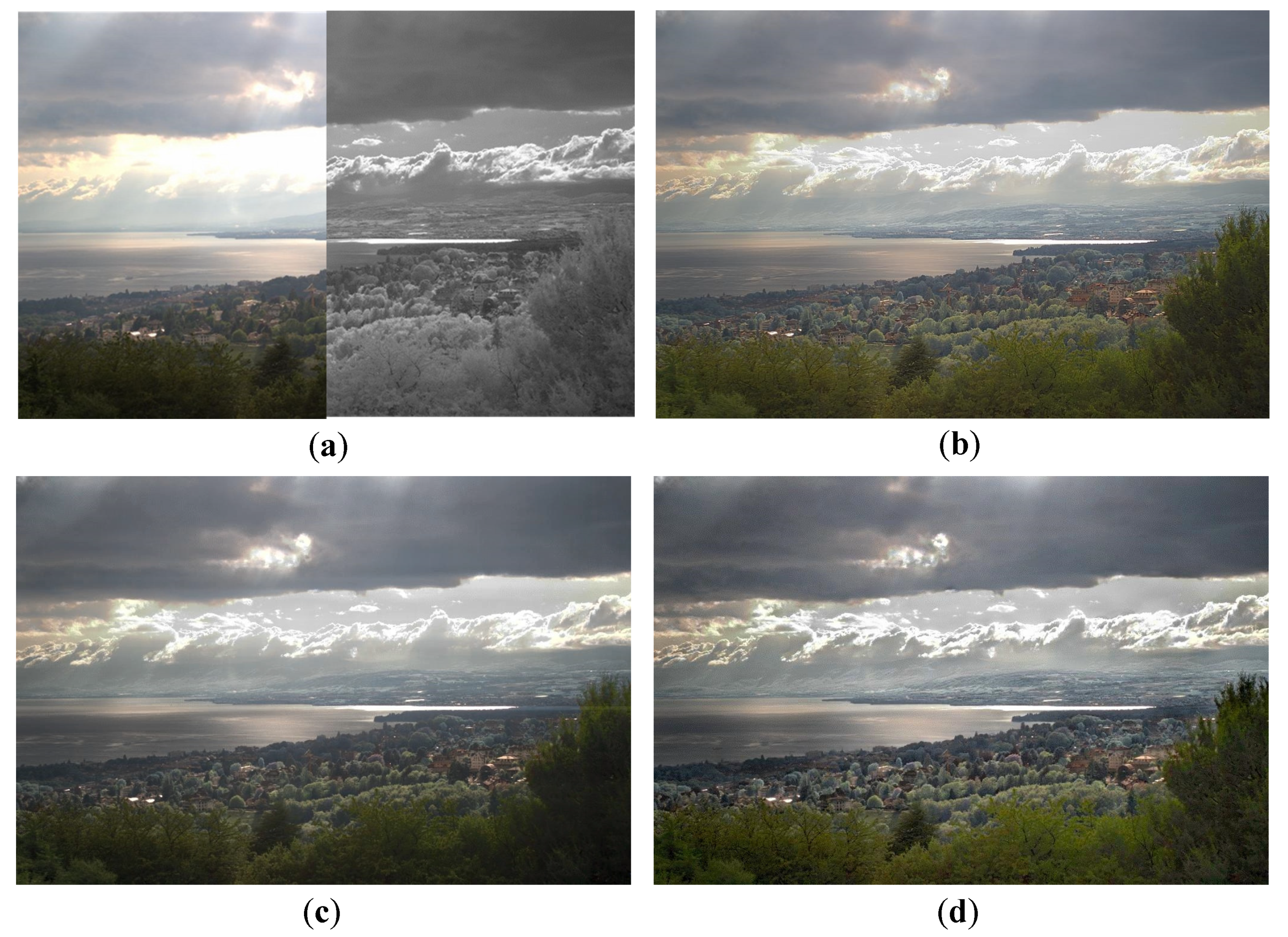 Applsci 10 08702 g007