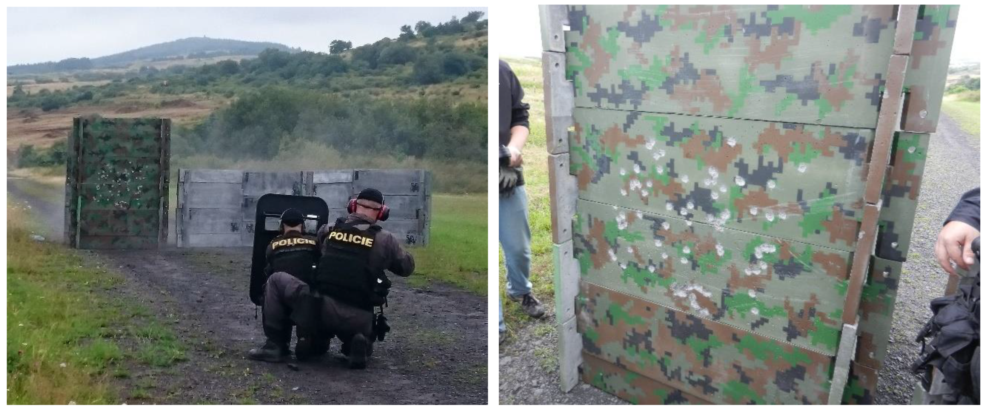 Applsci 10 08716 g020