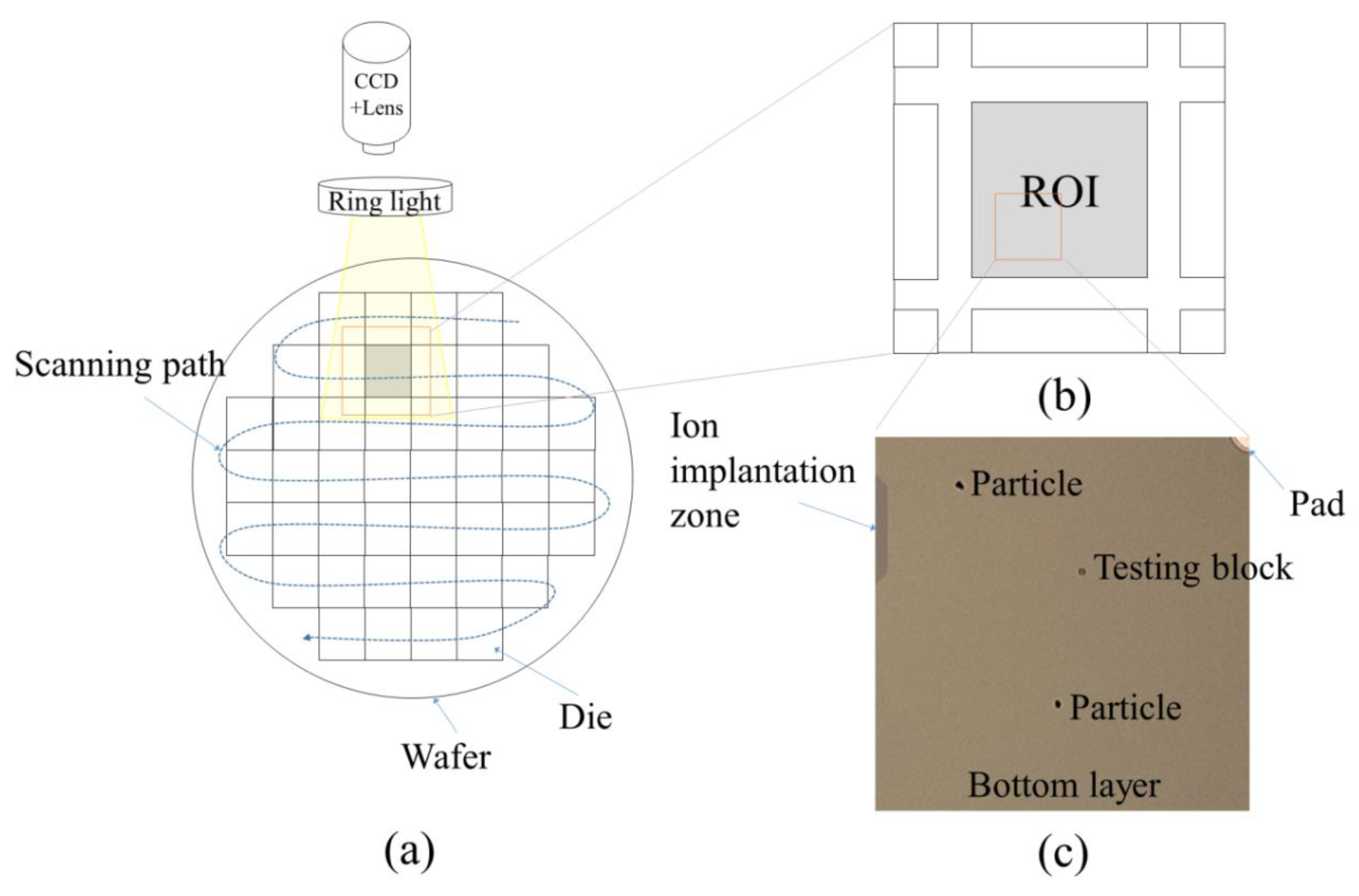 Applsci 10 08725 g002