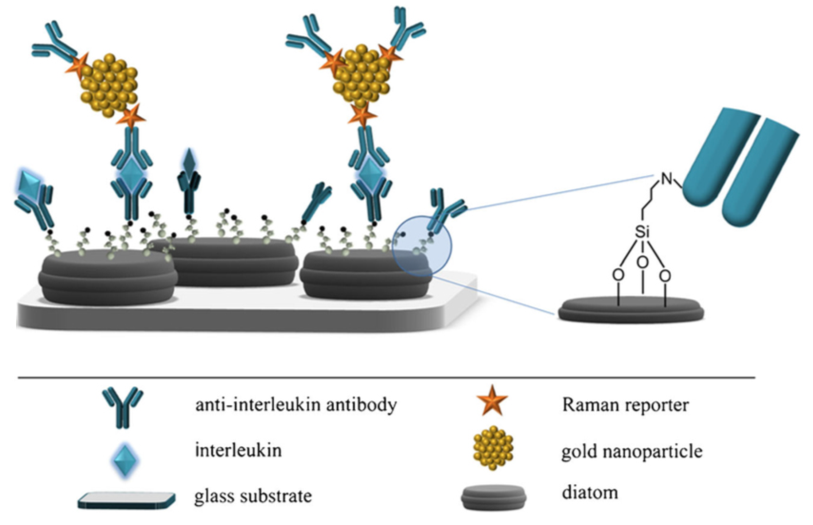 Applsci 10 08738 g005