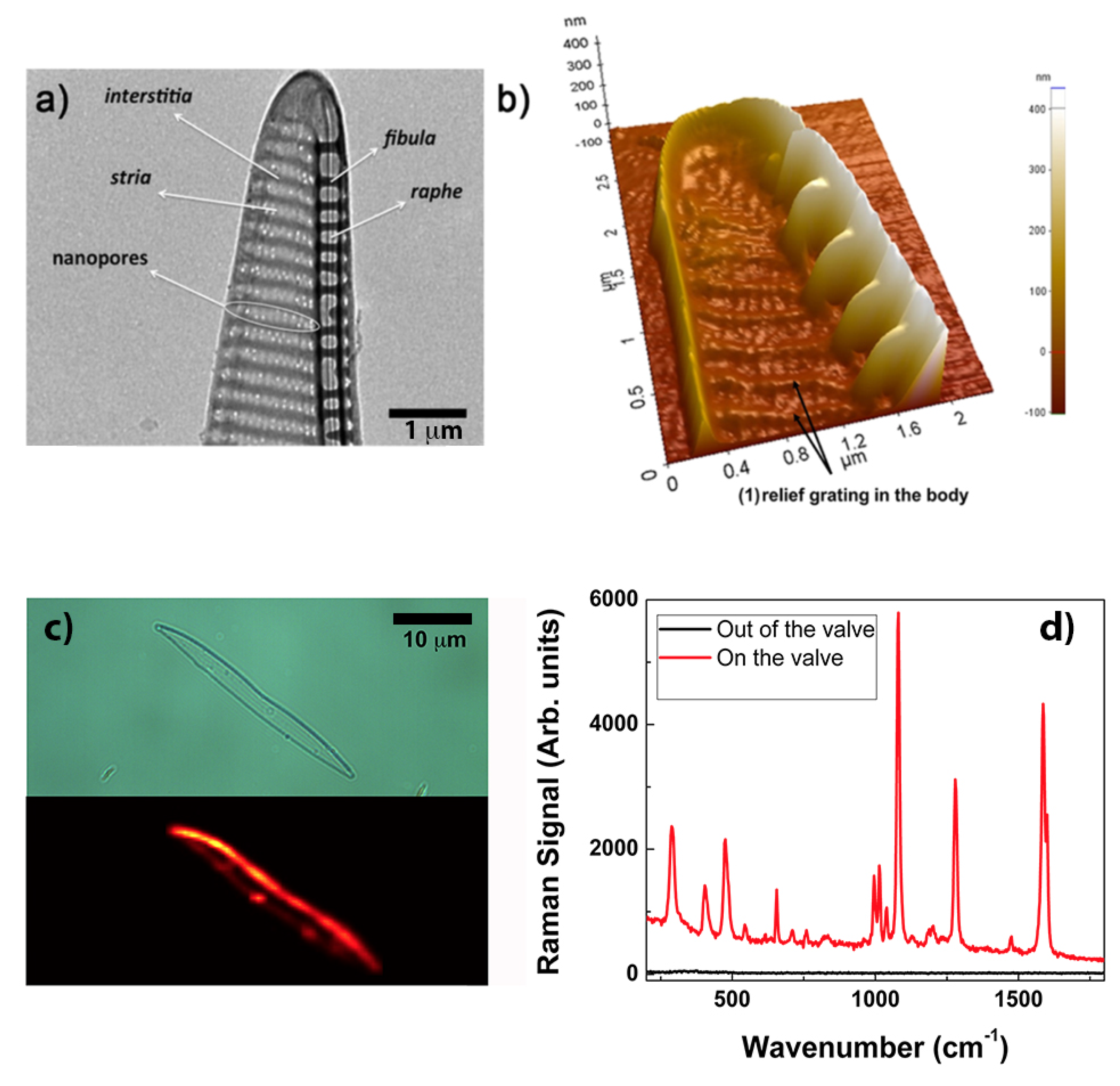 Applsci 10 08738 g006