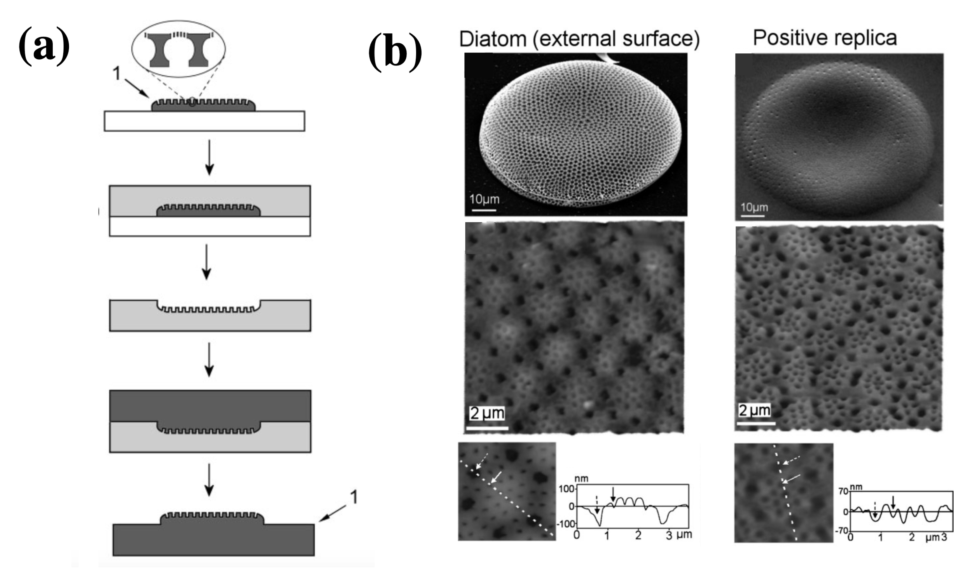 Applsci 10 08738 g009