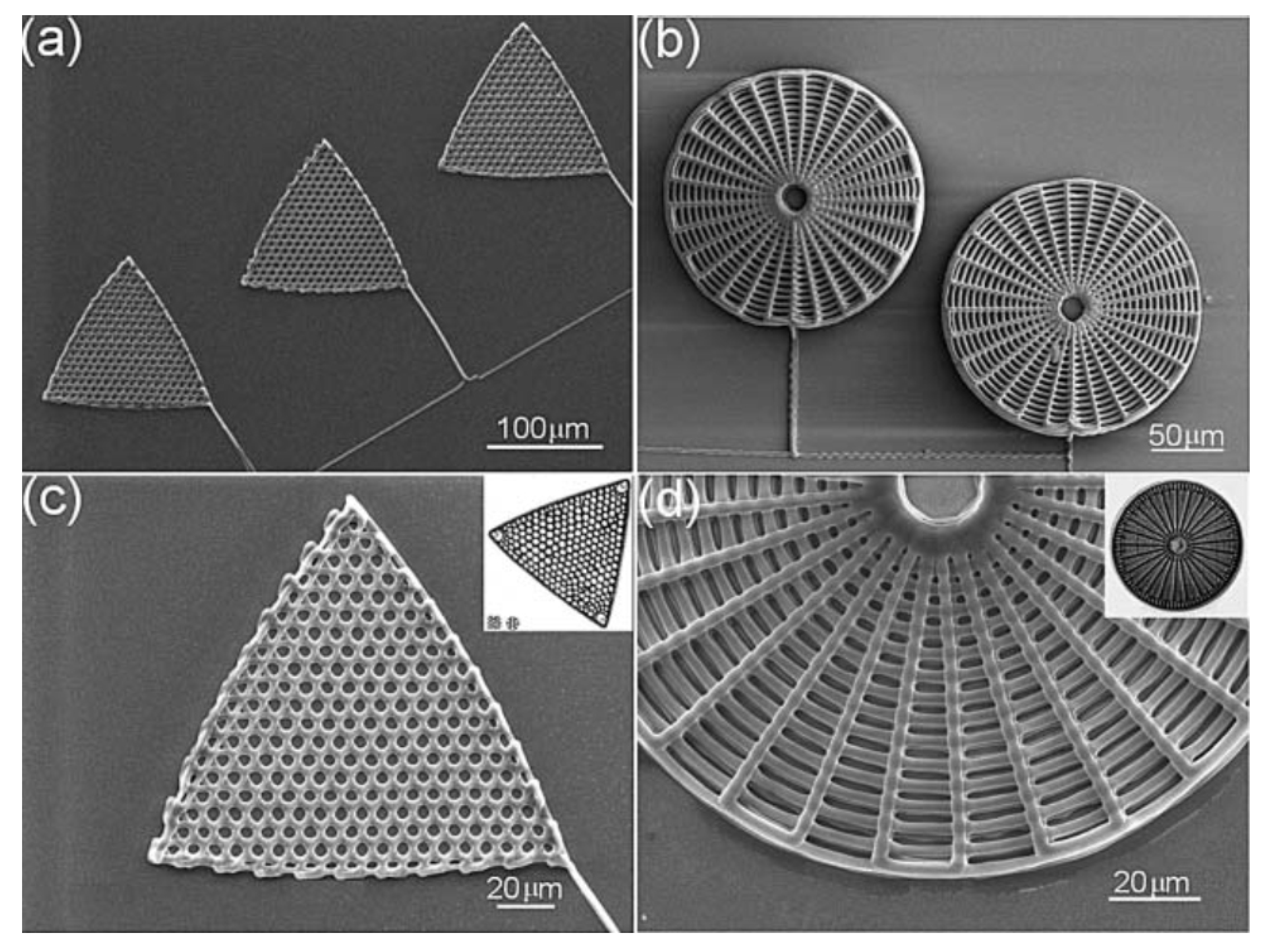 Applsci 10 08738 g010