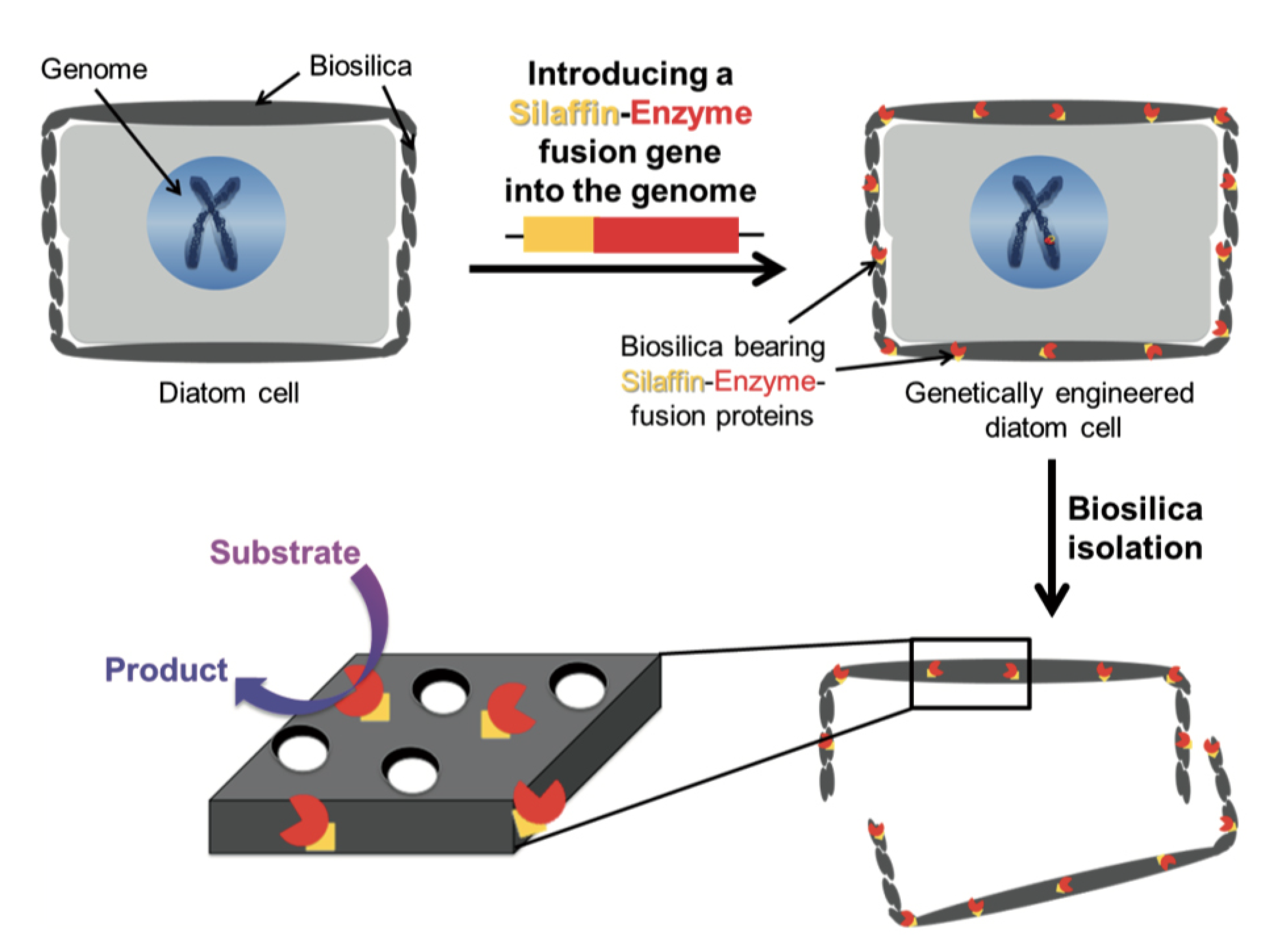 Applsci 10 08738 g011